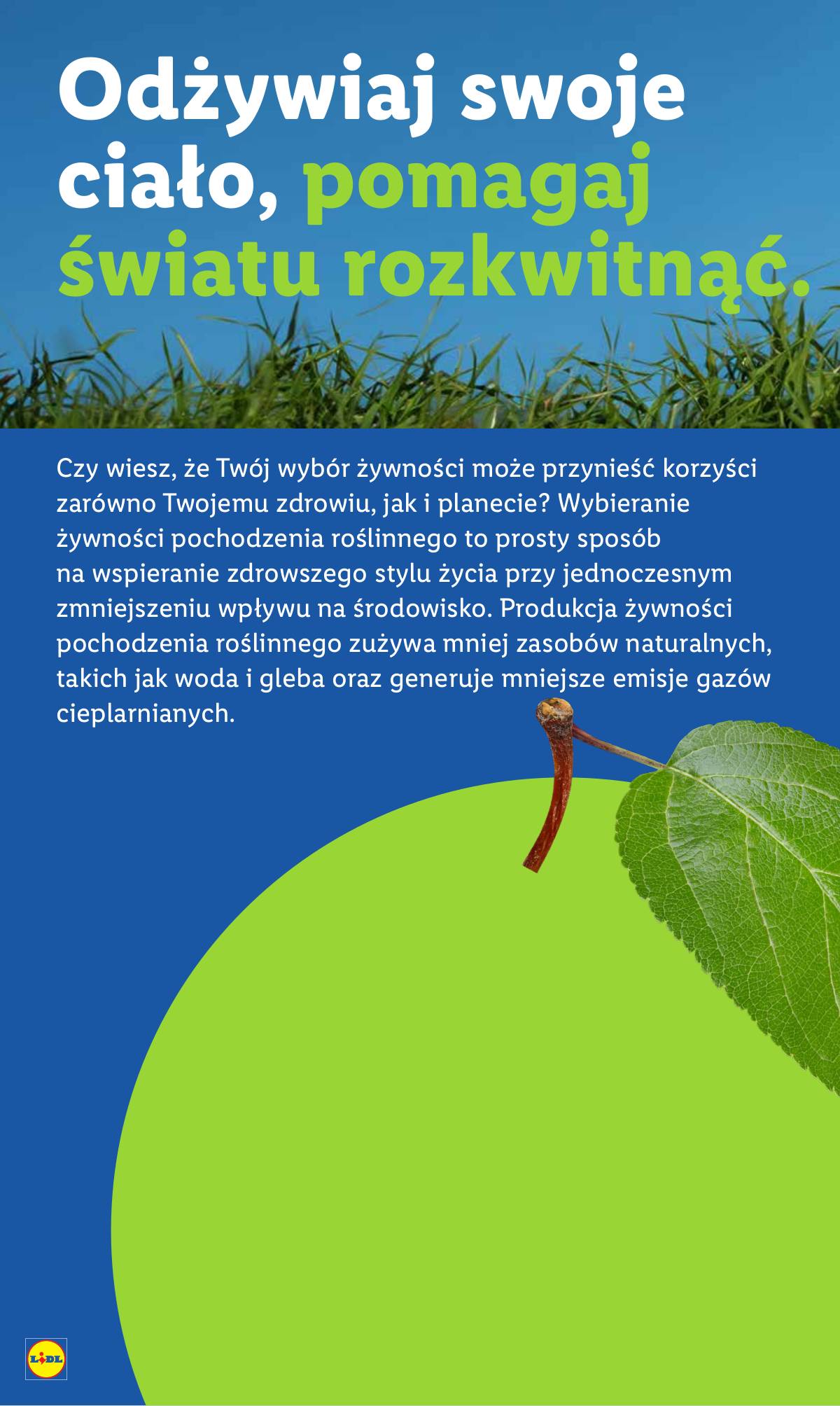 Lidl Lenkija - OFERTA WAŻNA 25.08 DO 27.08 64 puslapis