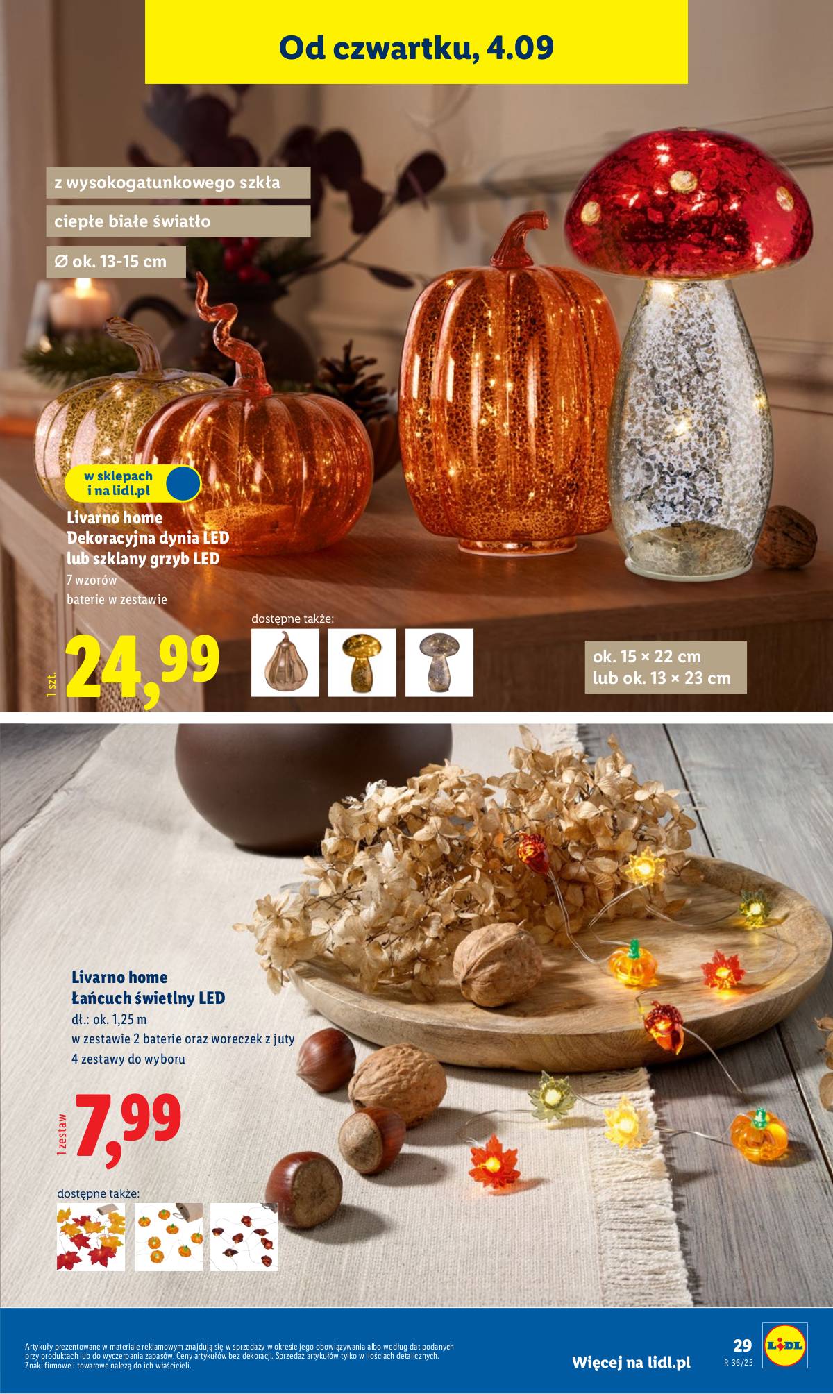Lidl Lenkija - OFERTA WAŻNA OD 1.09 31 puslapis