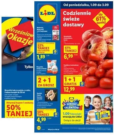 Lidl Lenkija - OFERTA WAŻNA OD 1.09 DO 3.09 2025-09-01 – 2025-09-03
