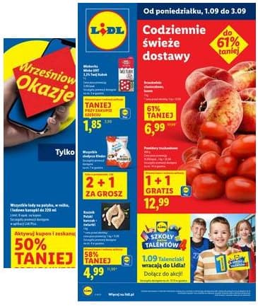 Lidl Lenkija - OFERTA WAŻNA OD 1.09 DO 3.09 2025-09-01 – 2025-09-03
