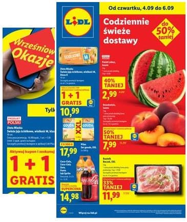 Lidl Lenkija - OFERTA WAŻNA 4.09 DO 6.09 2025-09-04 – 2025-09-06