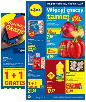 Lidl Lenkija - OFERTA WAŻNA OD 8.09 DO 10.09 2025-09-08 – 2025-09-10