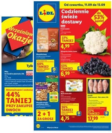 Lidl Lenkija - OFERTA WAŻNA 11.09 do 13.09 2025-09-11 – 2025-09-13