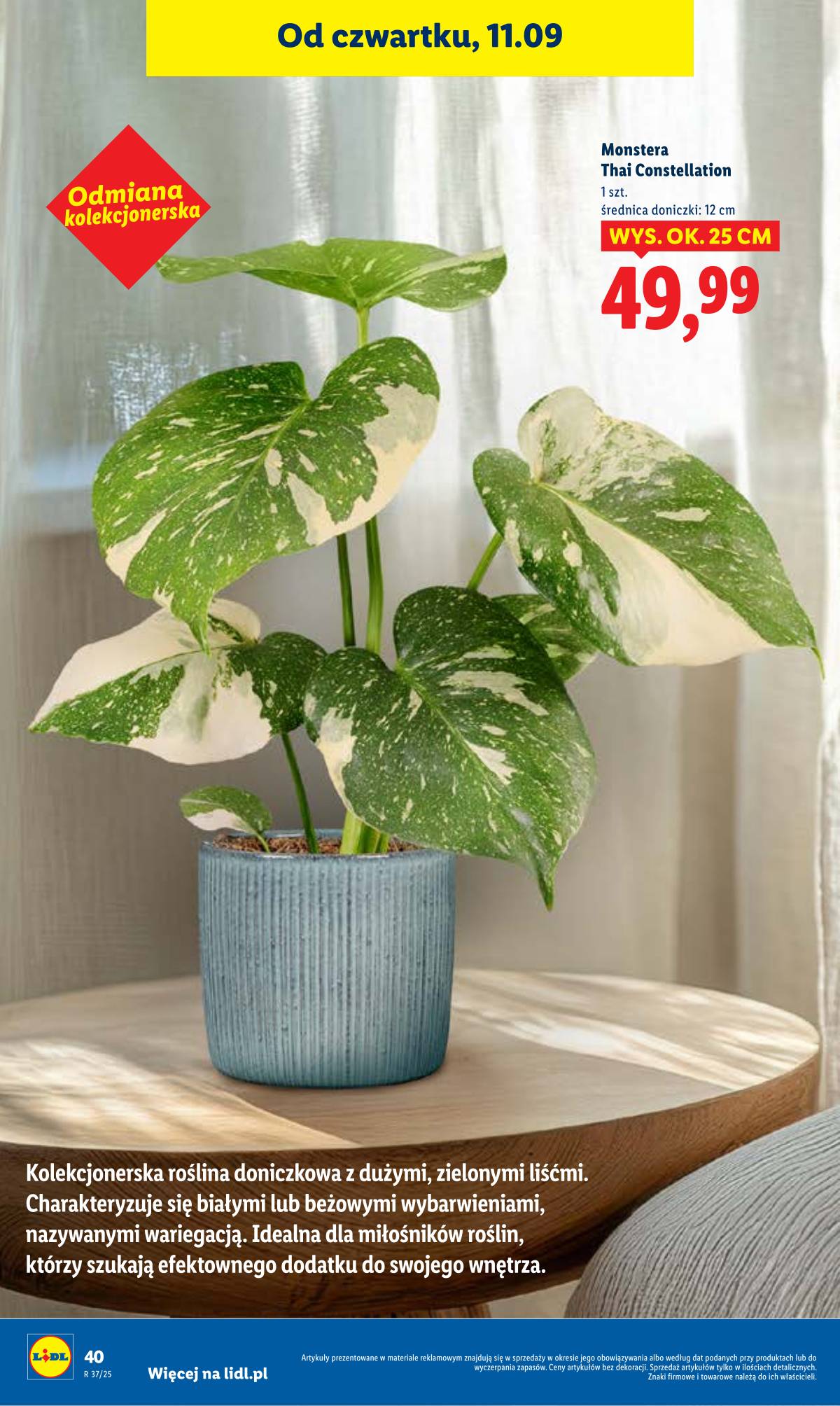 Lidl Lenkija - OFERTA WAŻNA 11.09 do 13.09 46 puslapis