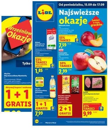 Lidl Lenkija - OFERTA WAŻNA OD 15.09 DO 17.09 2025-09-15 – 2025-09-17