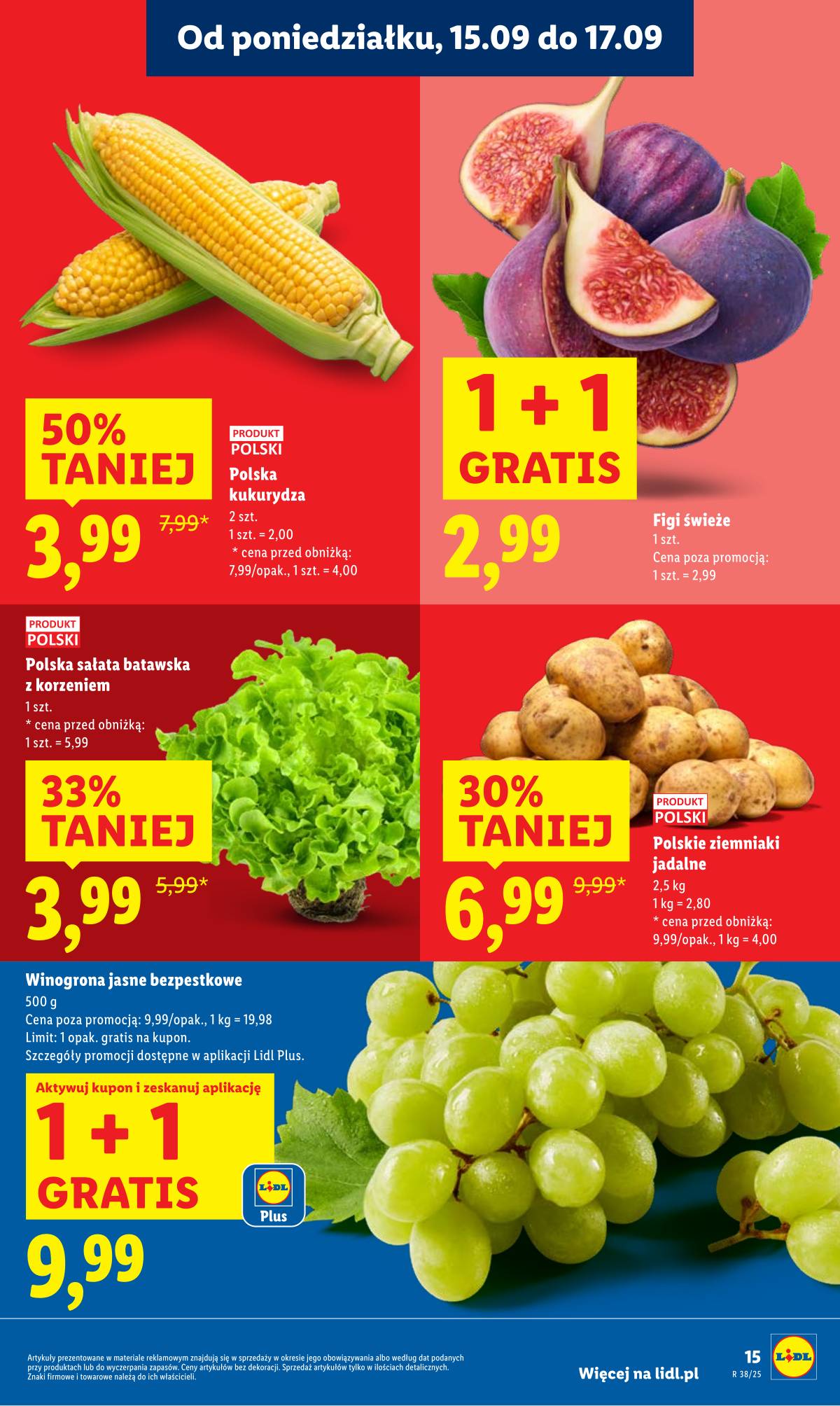 Lidl Lenkija - OFERTA WAŻNA OD 15.09 DO 17.09 17 puslapis