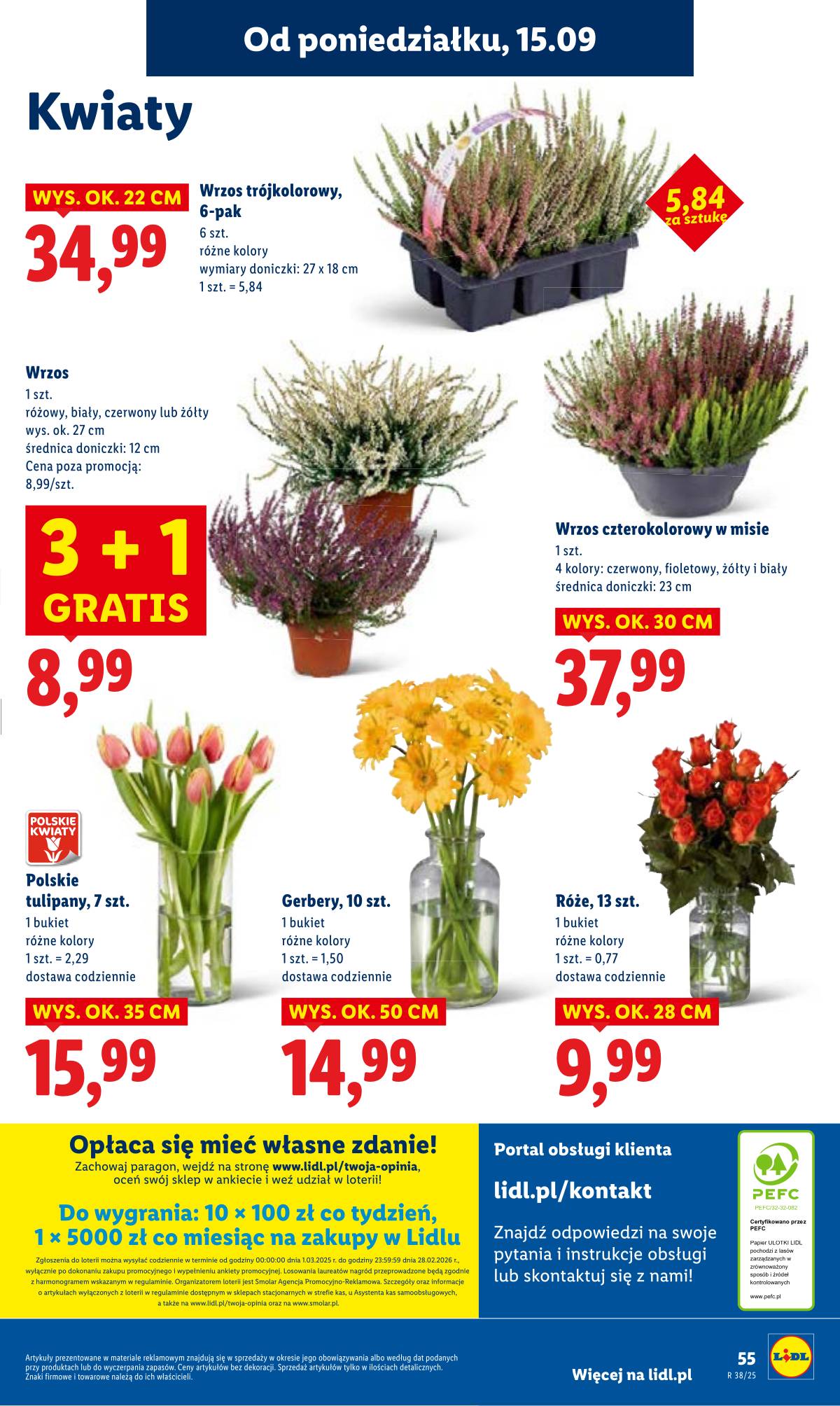 Lidl Lenkija - OFERTA WAŻNA OD 15.09 DO 17.09 61 puslapis