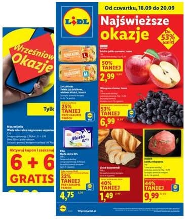 Lidl Lenkija - OFERTA WAŻNA 18.09 do 20.09 2025-09-18 – 2025-09-20