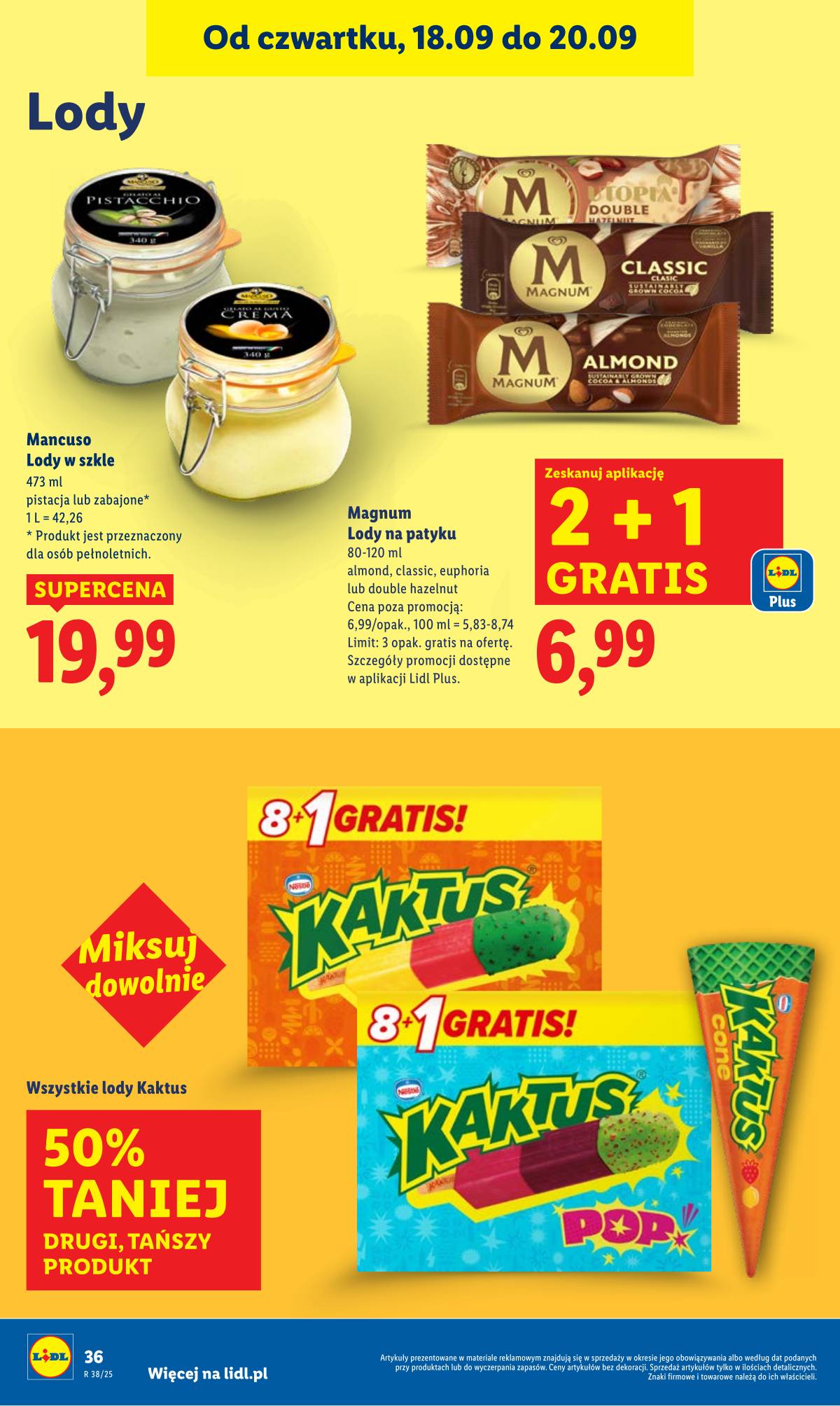 Lidl Lenkija - OFERTA WAŻNA 18.09 do 20.09 42 puslapis