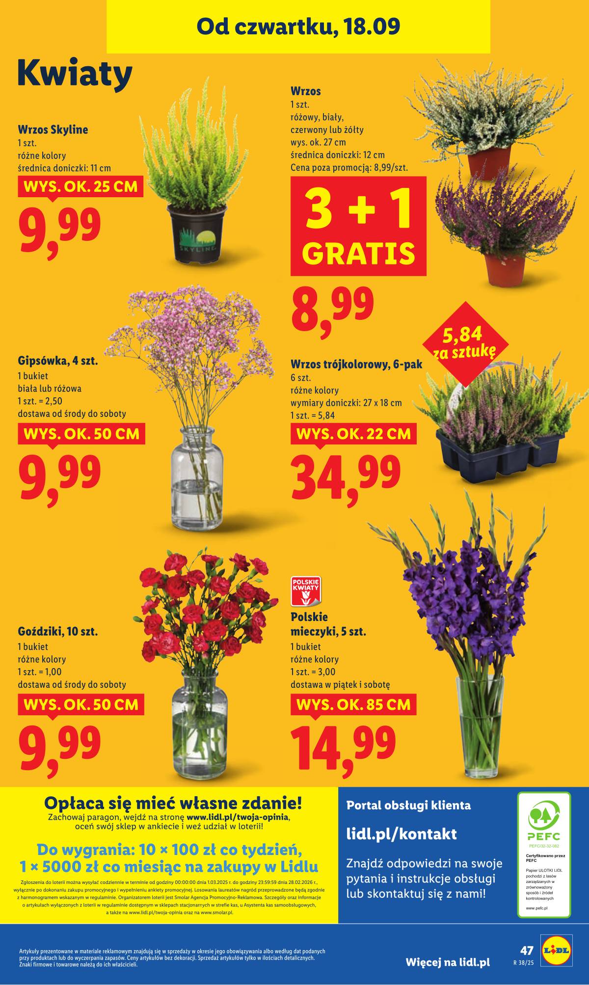 Lidl Lenkija - OFERTA WAŻNA 18.09 do 20.09 55 puslapis