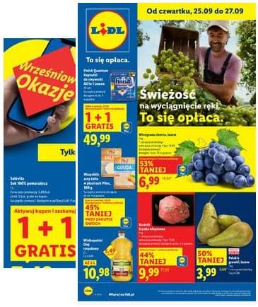 Lidl Lenkija - OFERTA WAŻNA OD 25.09 DO 27.09 2025-09-25 – 2025-09-27