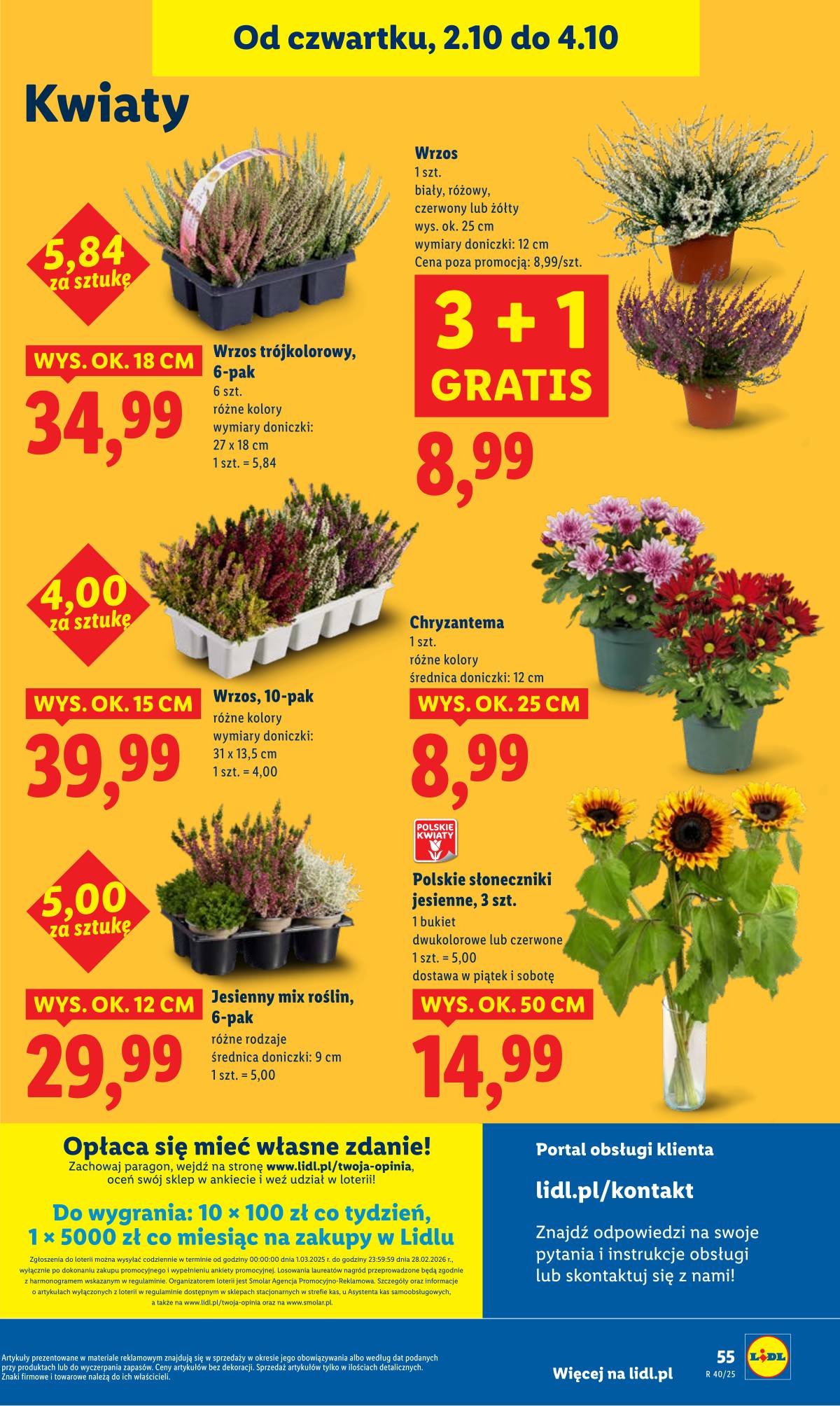 Lidl Lenkija - OFERTA WAŻNA OD 2.10 DO 4.10 59 puslapis