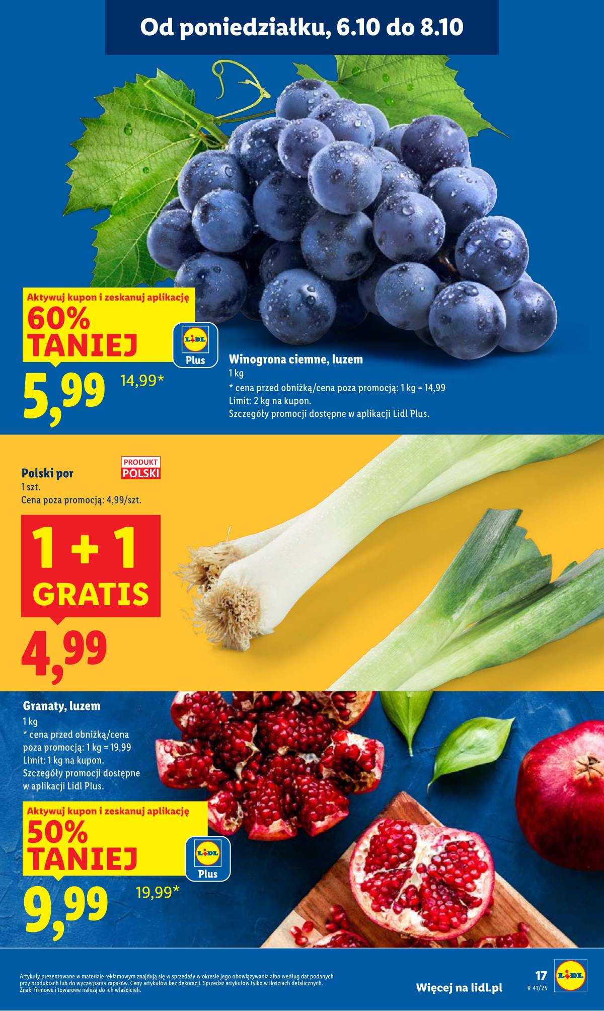 Lidl Lenkija - OFERTA WAŻNA OD 6.10 DO 8.10 17 puslapis