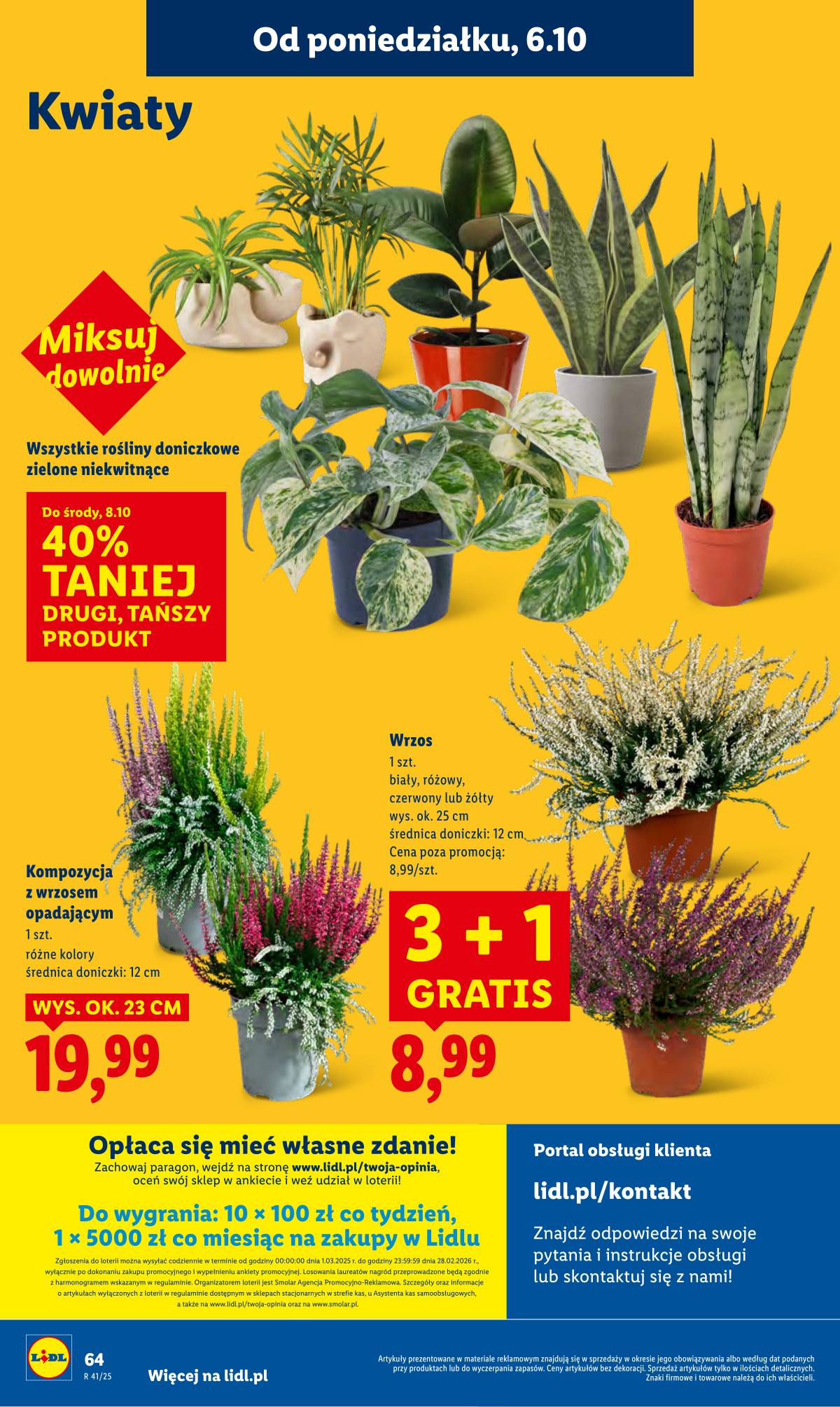 Lidl Lenkija - OFERTA WAŻNA OD 6.10 DO 8.10 66 puslapis