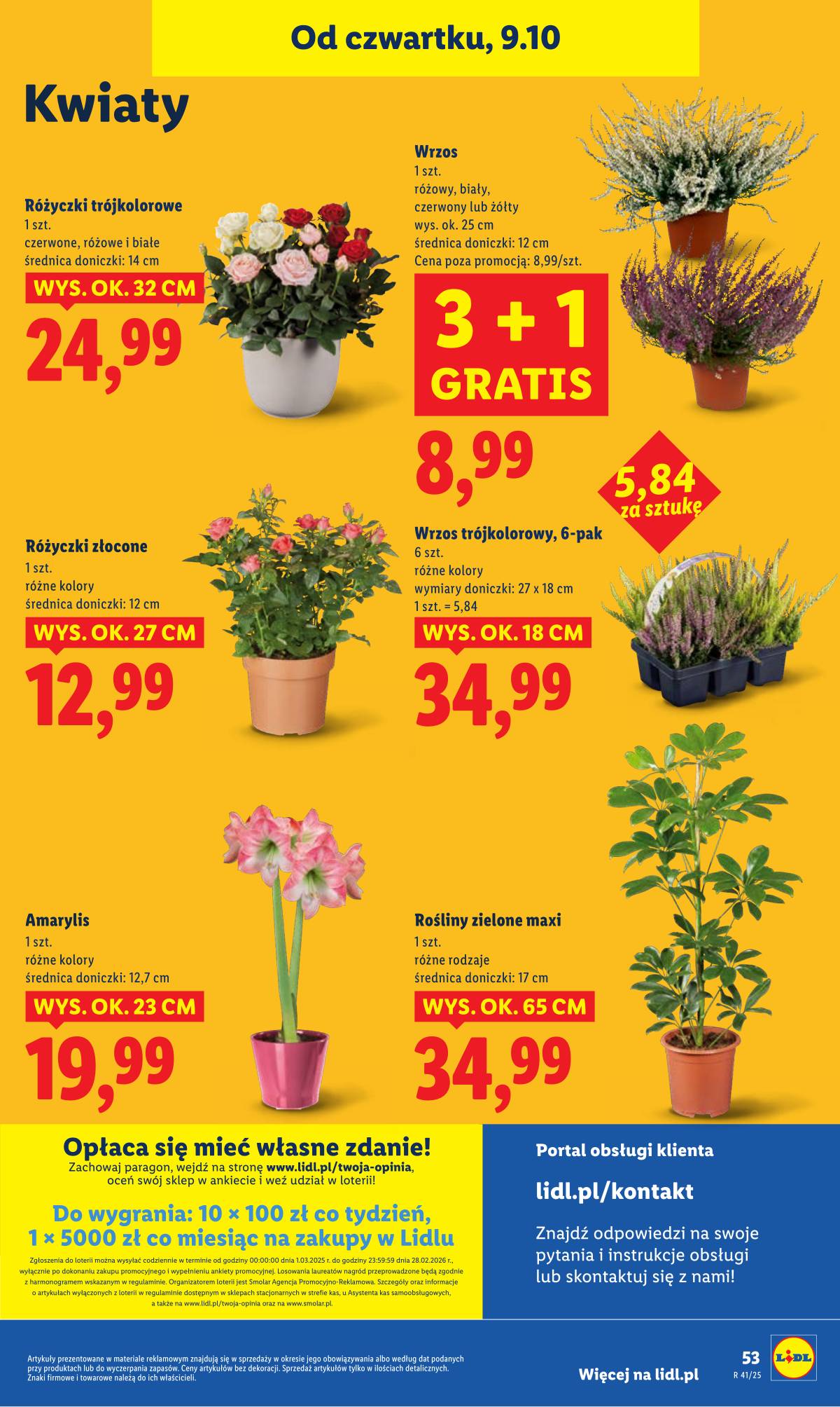 Lidl Lenkija - OFERTA WAŻNA OD 9.10 DO 11.10 59 puslapis