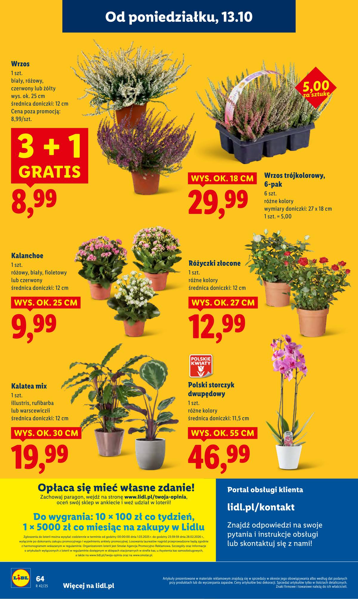 Lidl Lenkija - OFERTA WAŻNA OD 13.10 DO 15.10 64 puslapis
