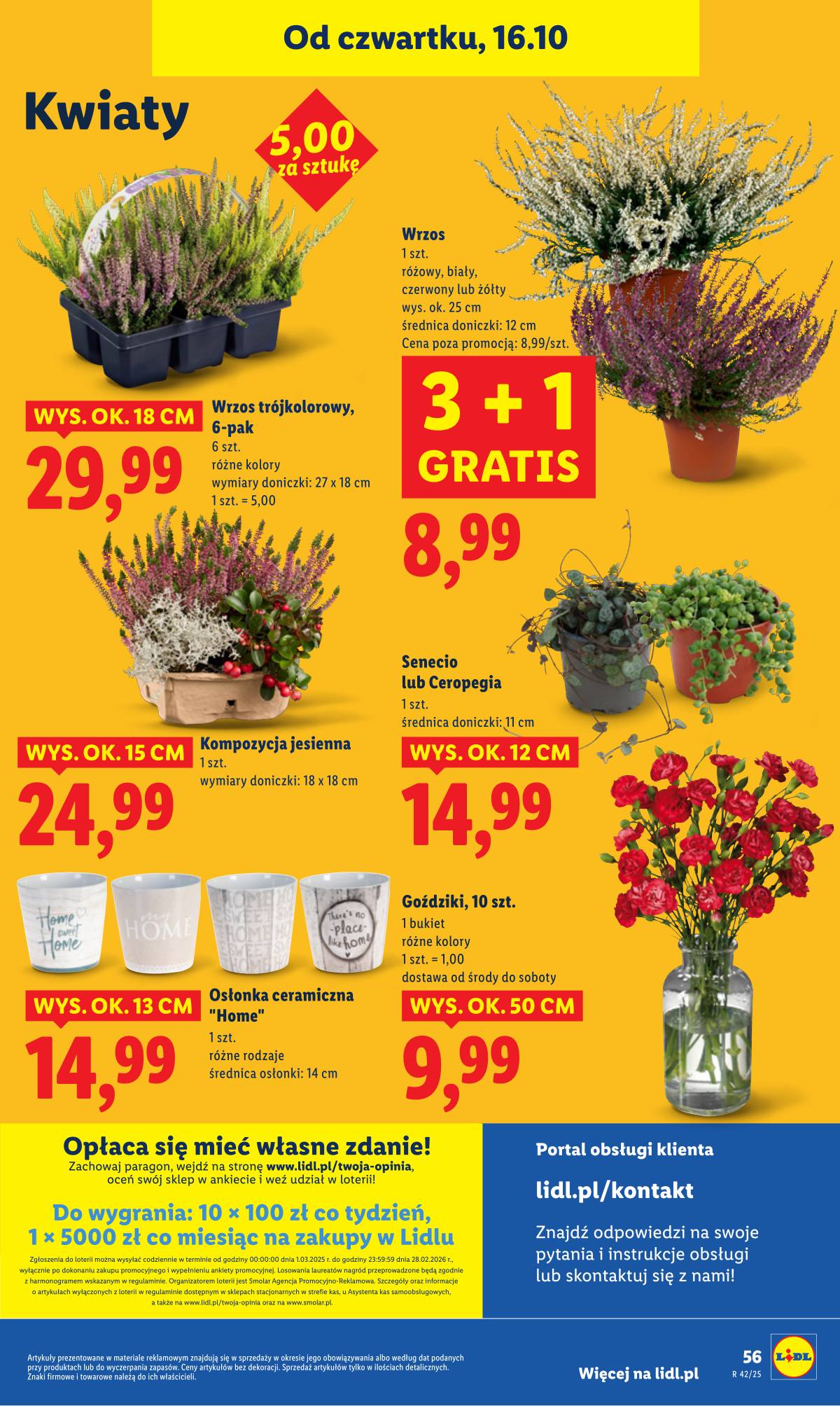 Lidl Lenkija - OFERTA WAŻNA OD 16.10 DO 18.10 60 puslapis