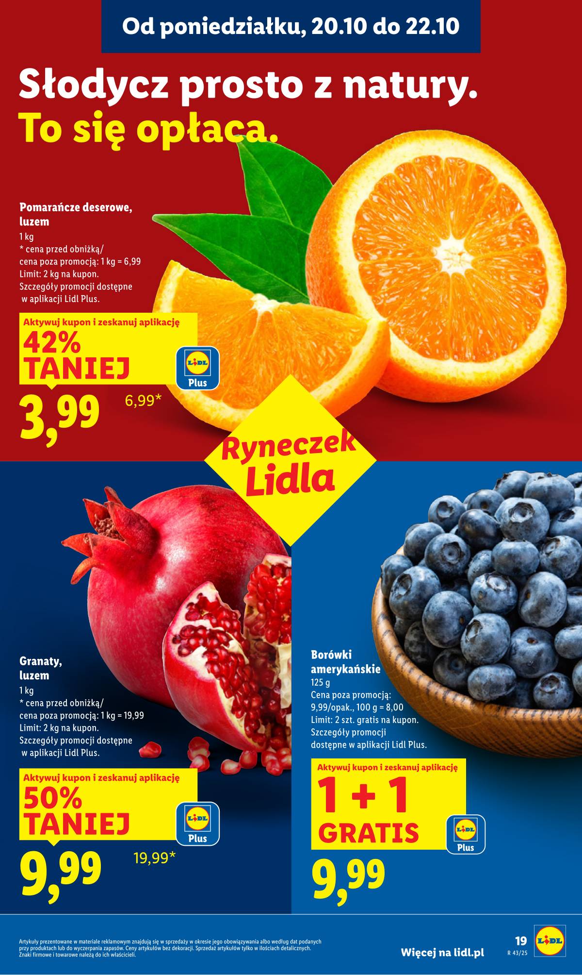 Lidl Lenkija - OFERTA WAŻNA OD 20.10 DO 22.10 19 puslapis