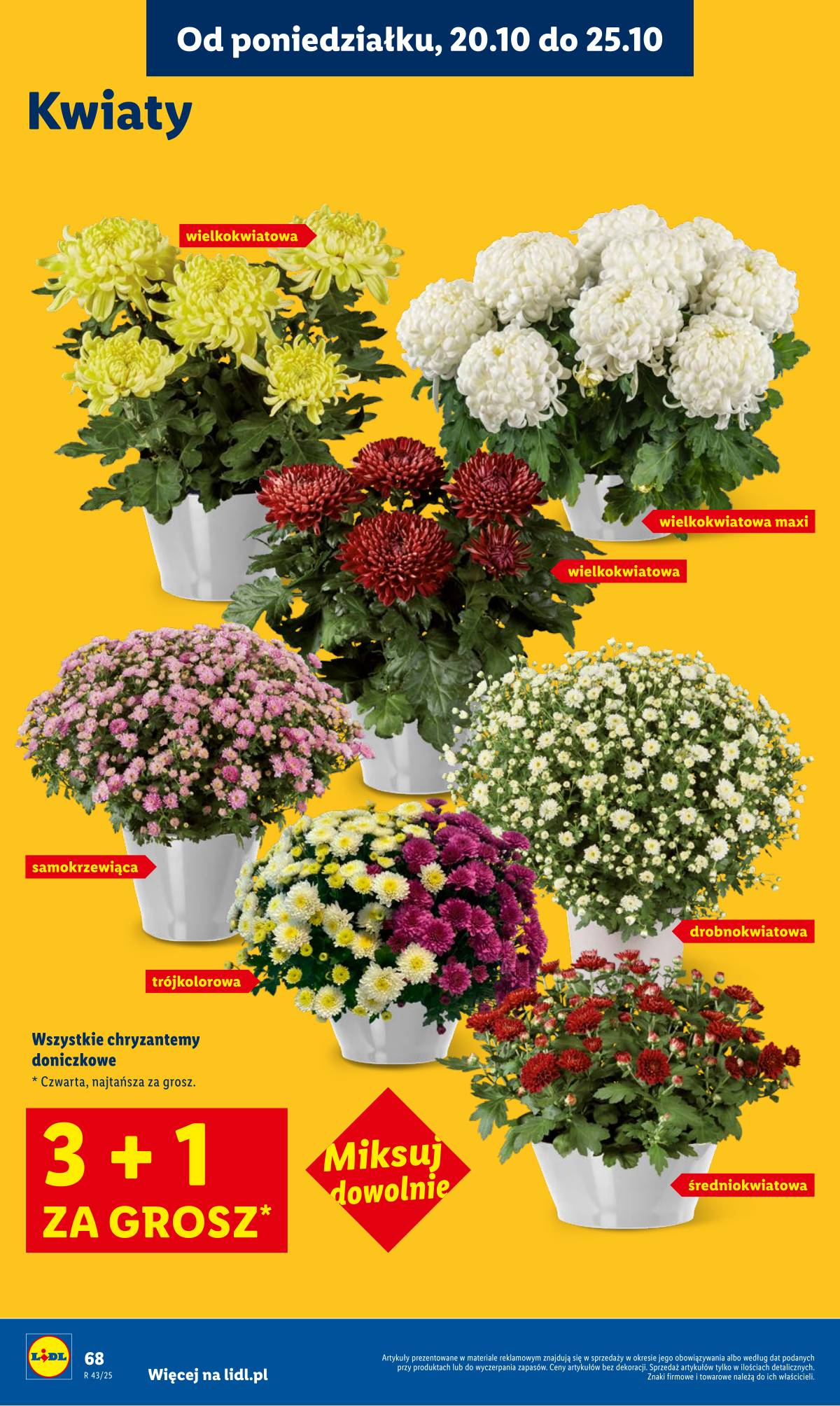 Lidl Lenkija - OFERTA WAŻNA OD 20.10 DO 22.10 68 puslapis
