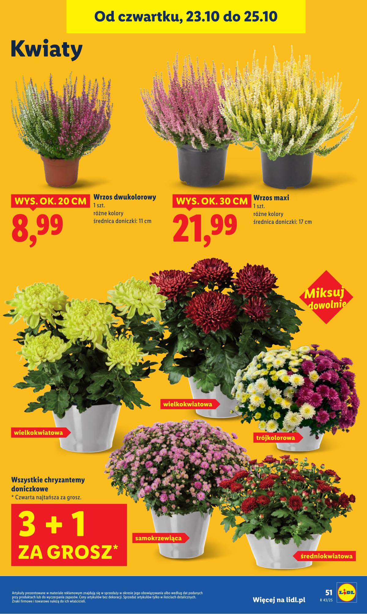 Lidl Lenkija - OFERTA WAŻNA OD 23.10 DO 25.10 55 puslapis
