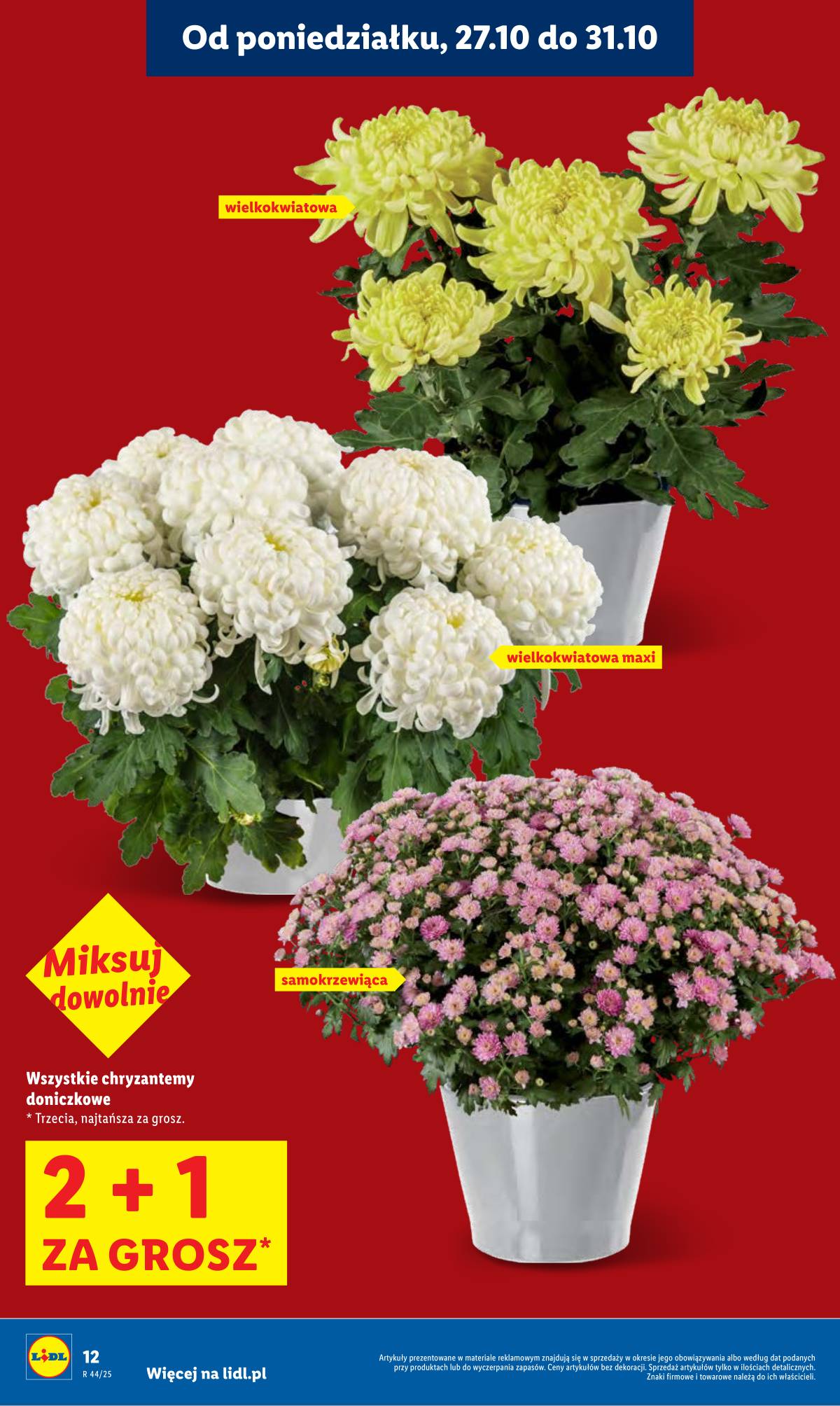 Lidl Lenkija - OFERTA WAŻNA OD 27.10 DO 29.10 12 puslapis