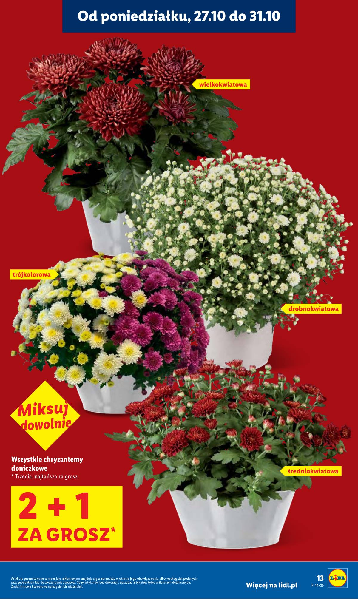 Lidl Lenkija - OFERTA WAŻNA OD 27.10 DO 29.10 13 puslapis