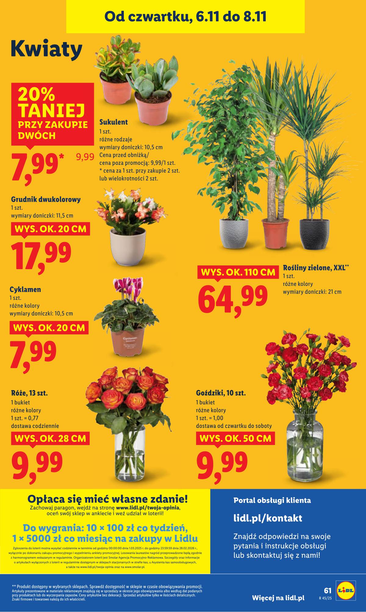 Lidl Lenkija - OFERTA WAŻNA OD 6.11 DO 8.11 70 puslapis