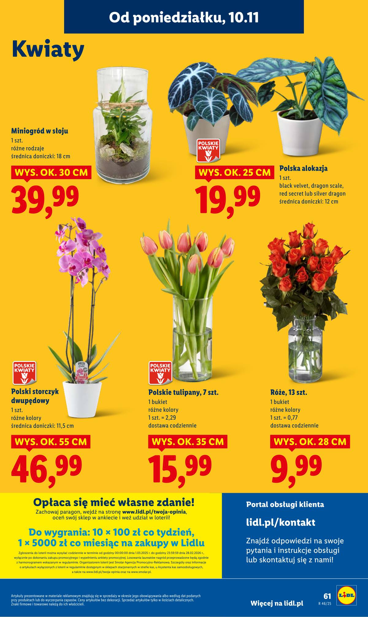 Lidl Lenkija - OFERTA WAŻNA OD 10.11 DO 12.11 63 puslapis