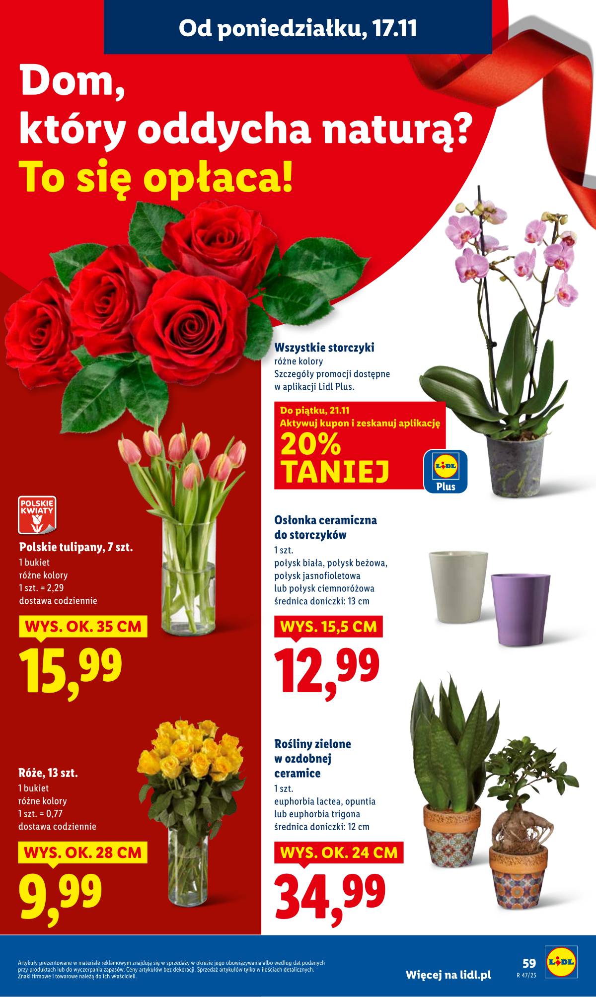 Lidl Lenkija - OFERTA WAŻNA OD 17.11 DO 19.11 59 puslapis