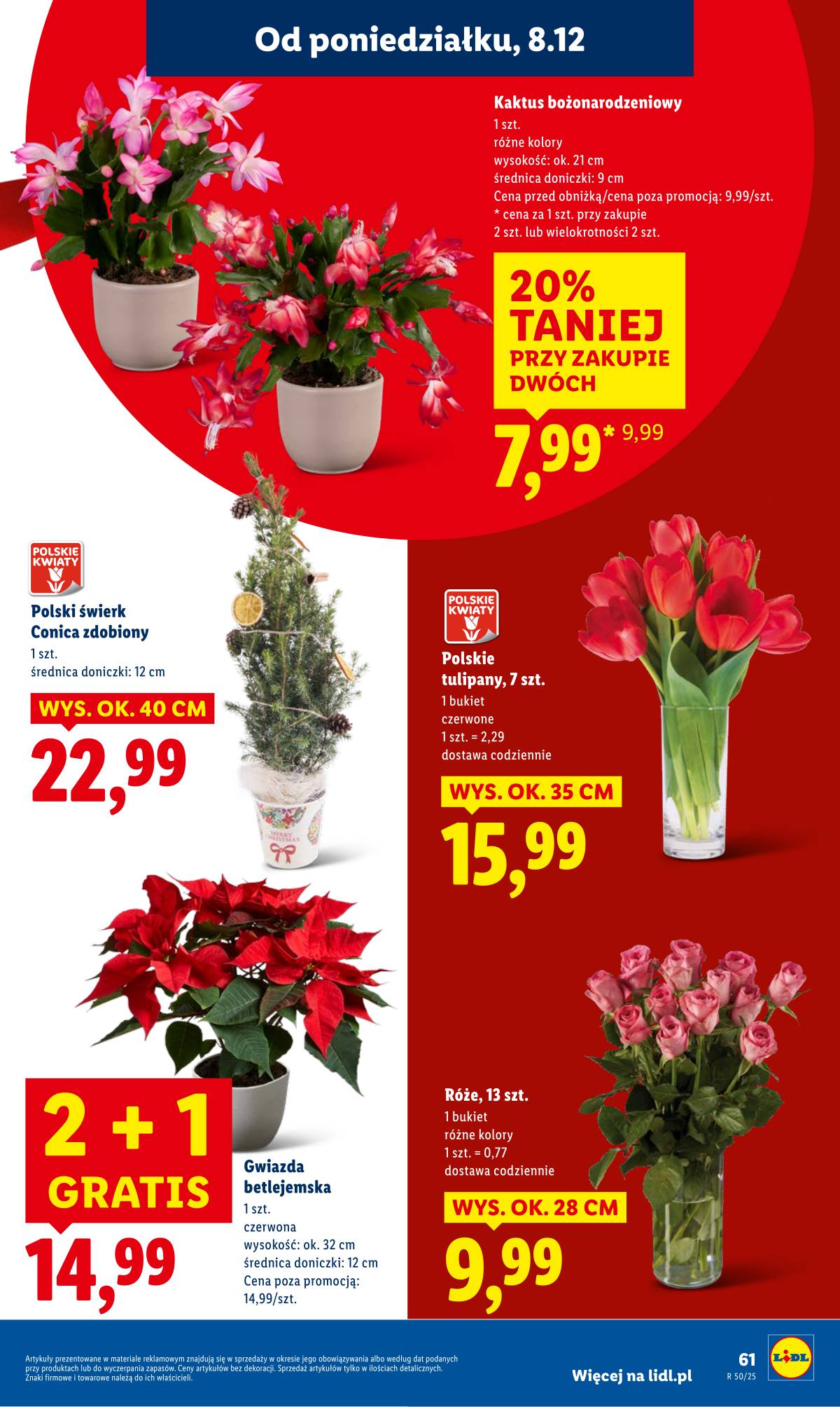 Lidl Lenkija - OFERTA WAŻNA OD 8.12 DO 10.12 69 puslapis