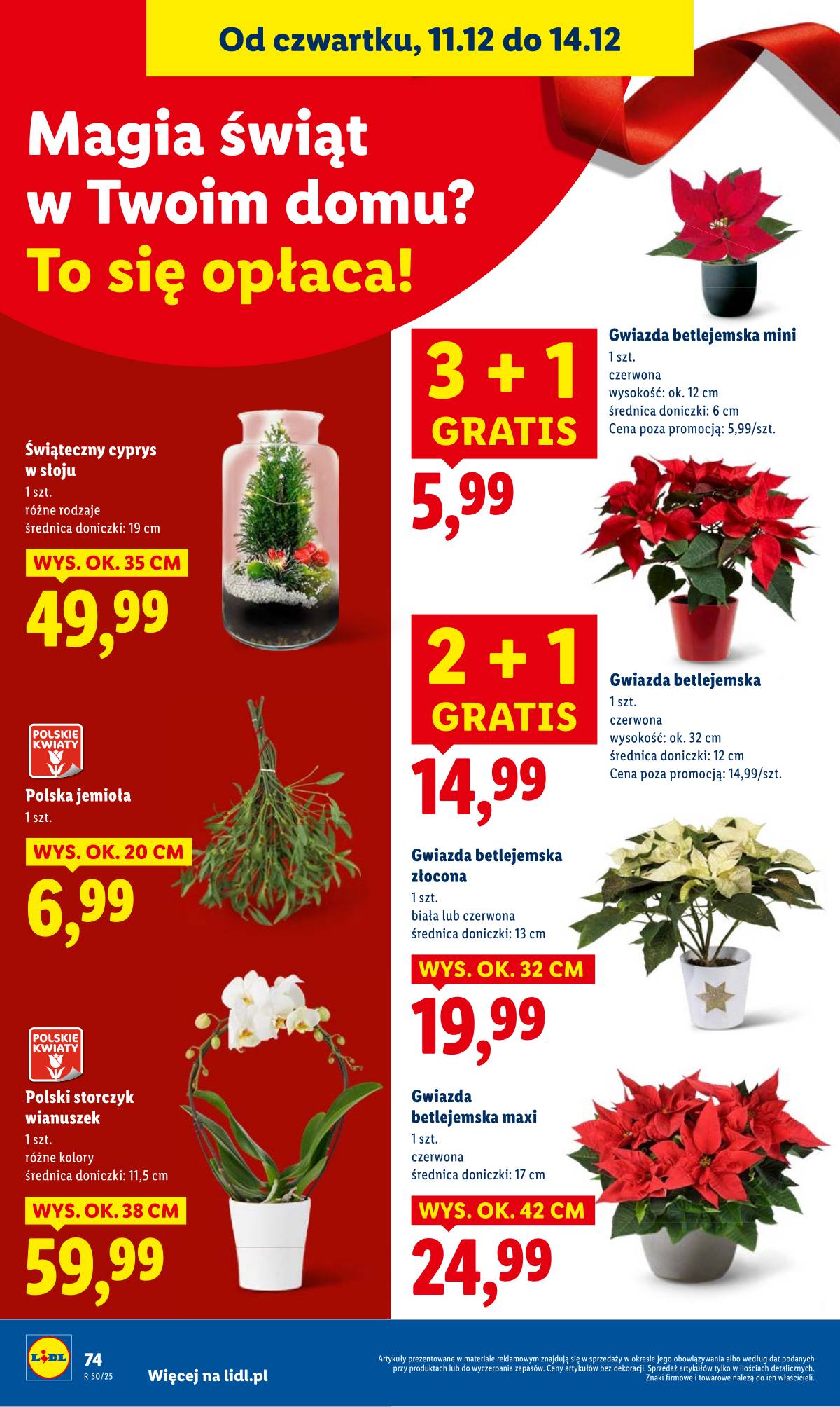 Lidl Lenkija - OFERTA WAŻNA OD 11.12 DO 14.12 74 puslapis