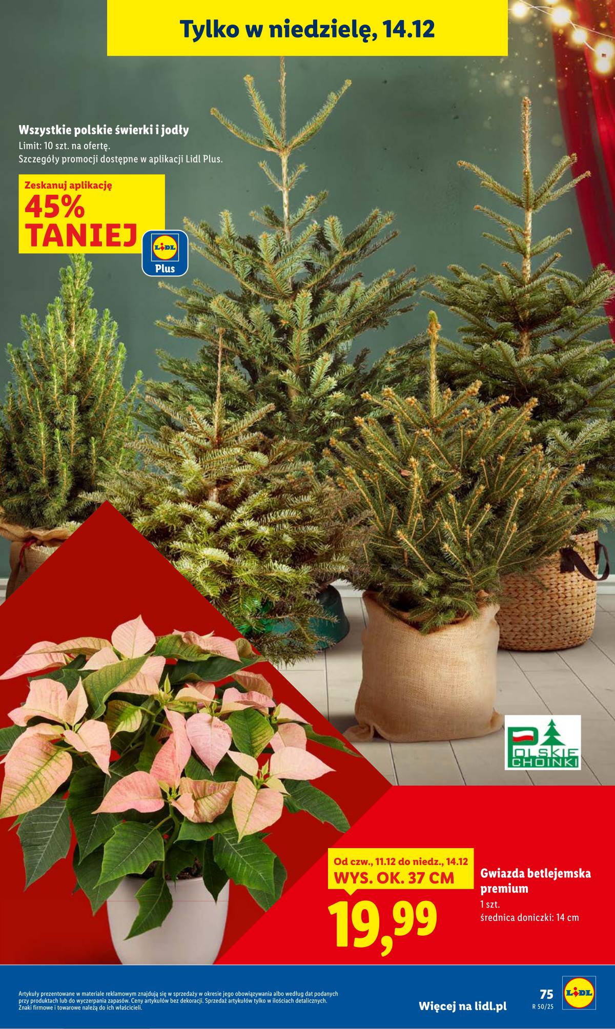 Lidl Lenkija - OFERTA WAŻNA OD 11.12 DO 14.12 75 puslapis