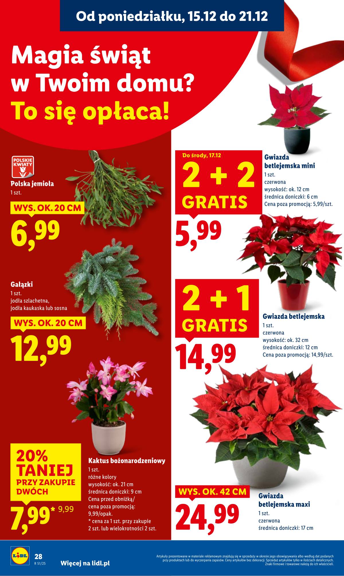 Lidl Lenkija - OFERTA WAŻNA OD 15.12 DO 17.12 30 puslapis
