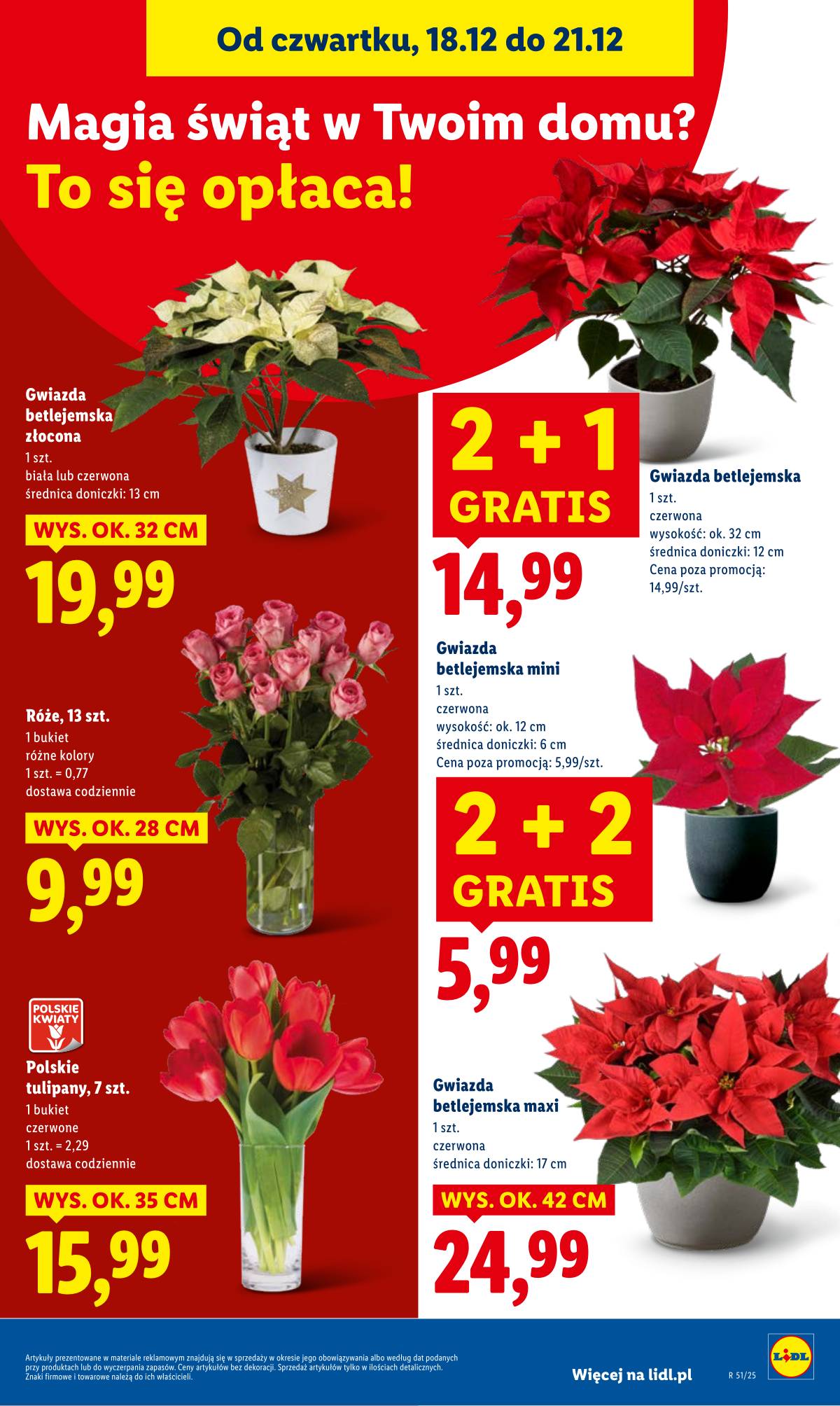 Lidl Lenkija - OFERTA WAŻNA OD 18.12 DO 21.12 33 puslapis