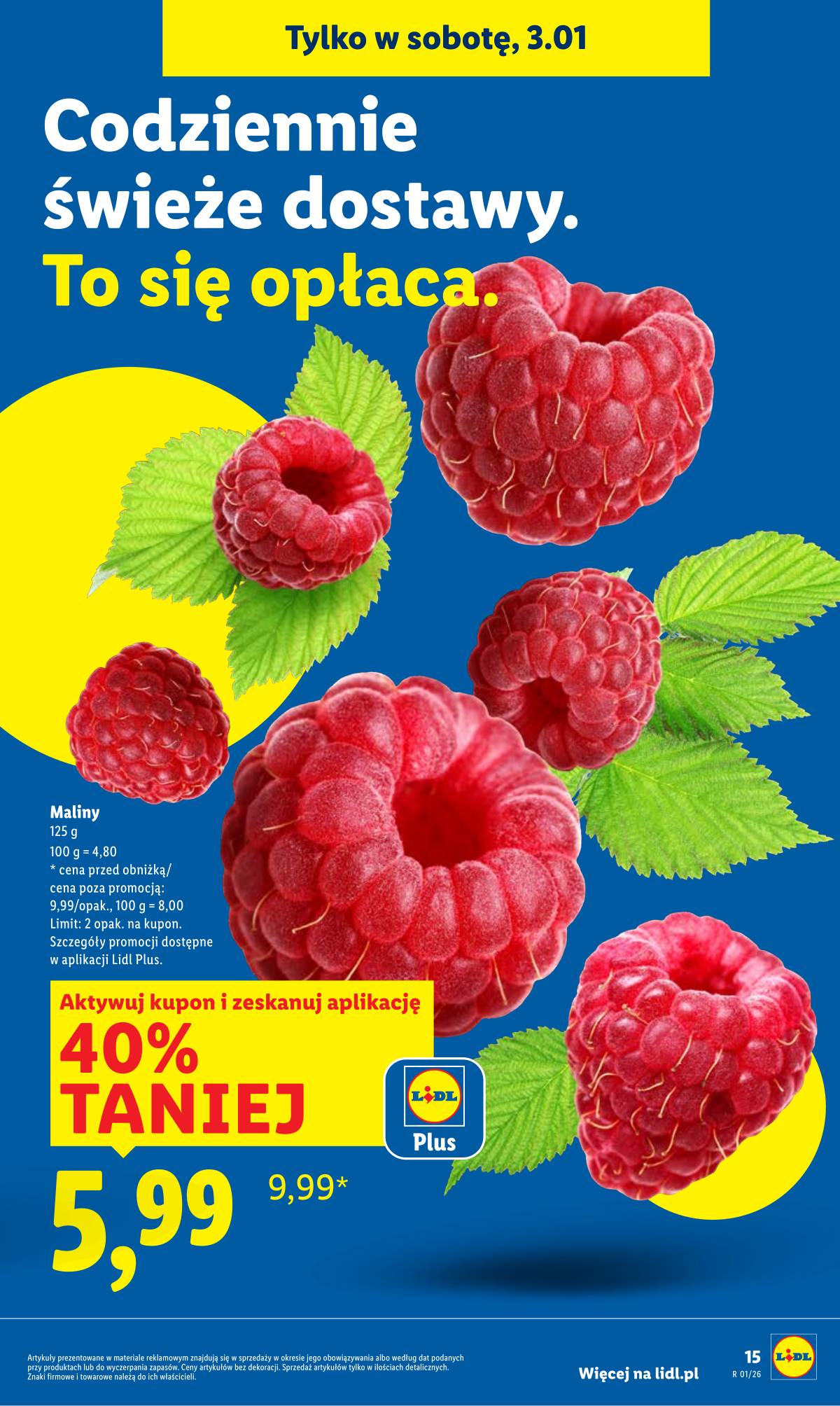 Lidl Lenkija - OFERTA WAŻNA OD 2.01 DO 3.01 17 puslapis