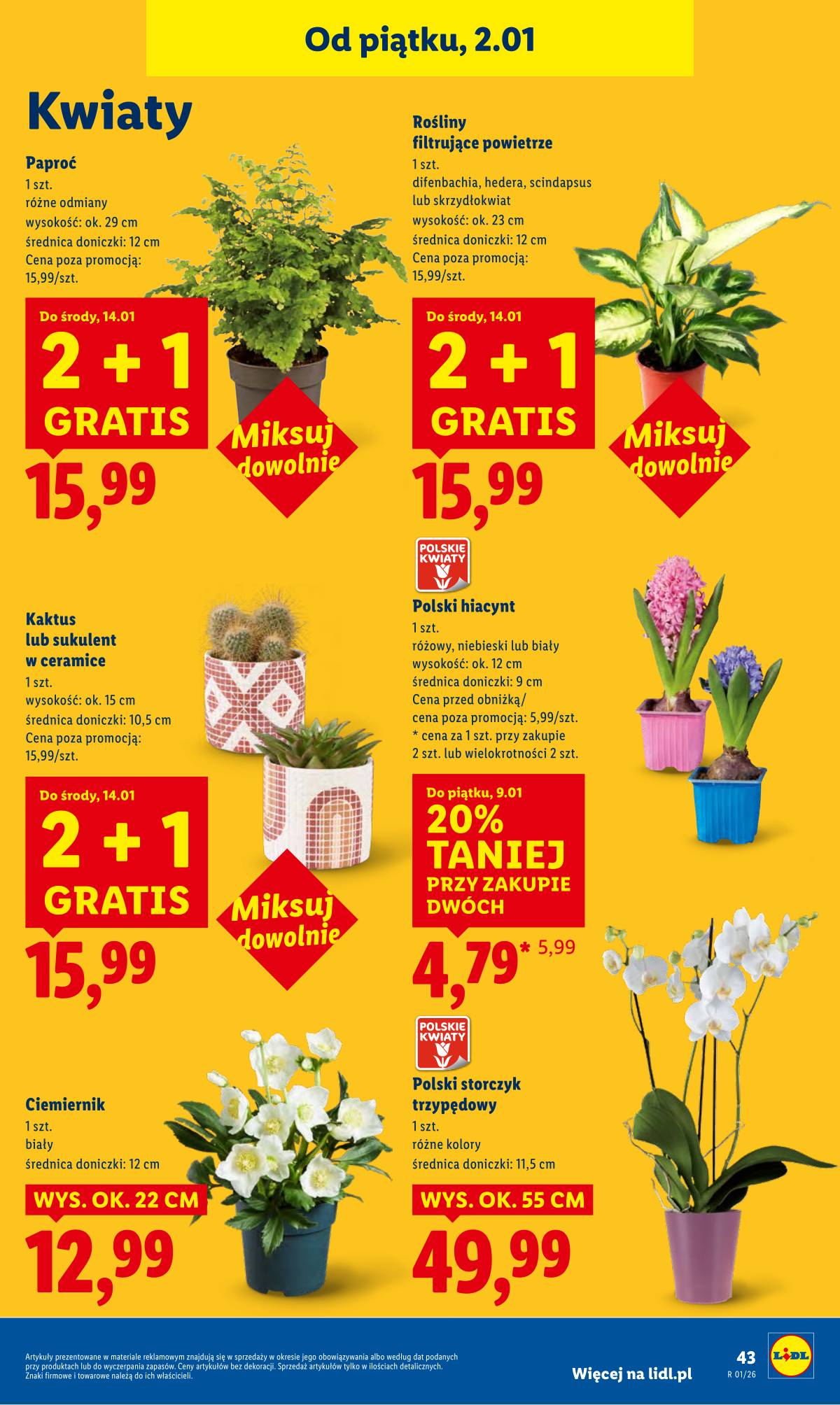 Lidl Lenkija - OFERTA WAŻNA OD 2.01 DO 3.01 45 puslapis