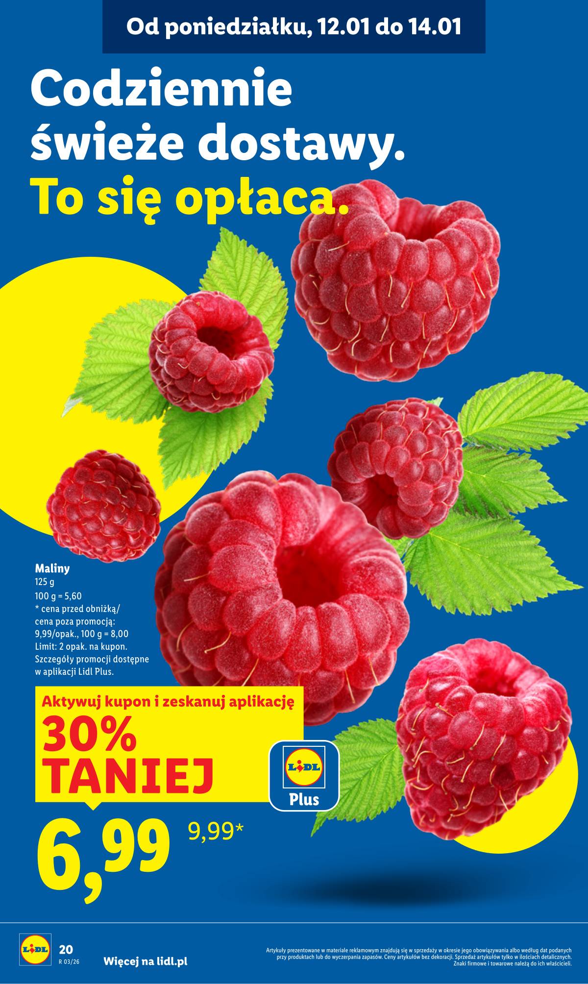Lidl Lenkija - OFERTA WAŻNA OD 12.01 DO 14.01 20 puslapis