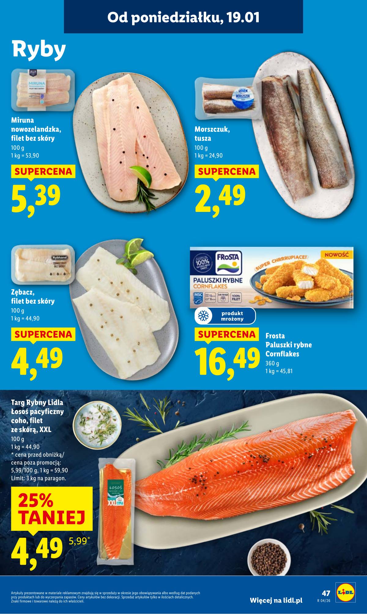 Lidl Lenkija - OFERTA WAŻNA OD 19.01 DO 21.01 47 puslapis