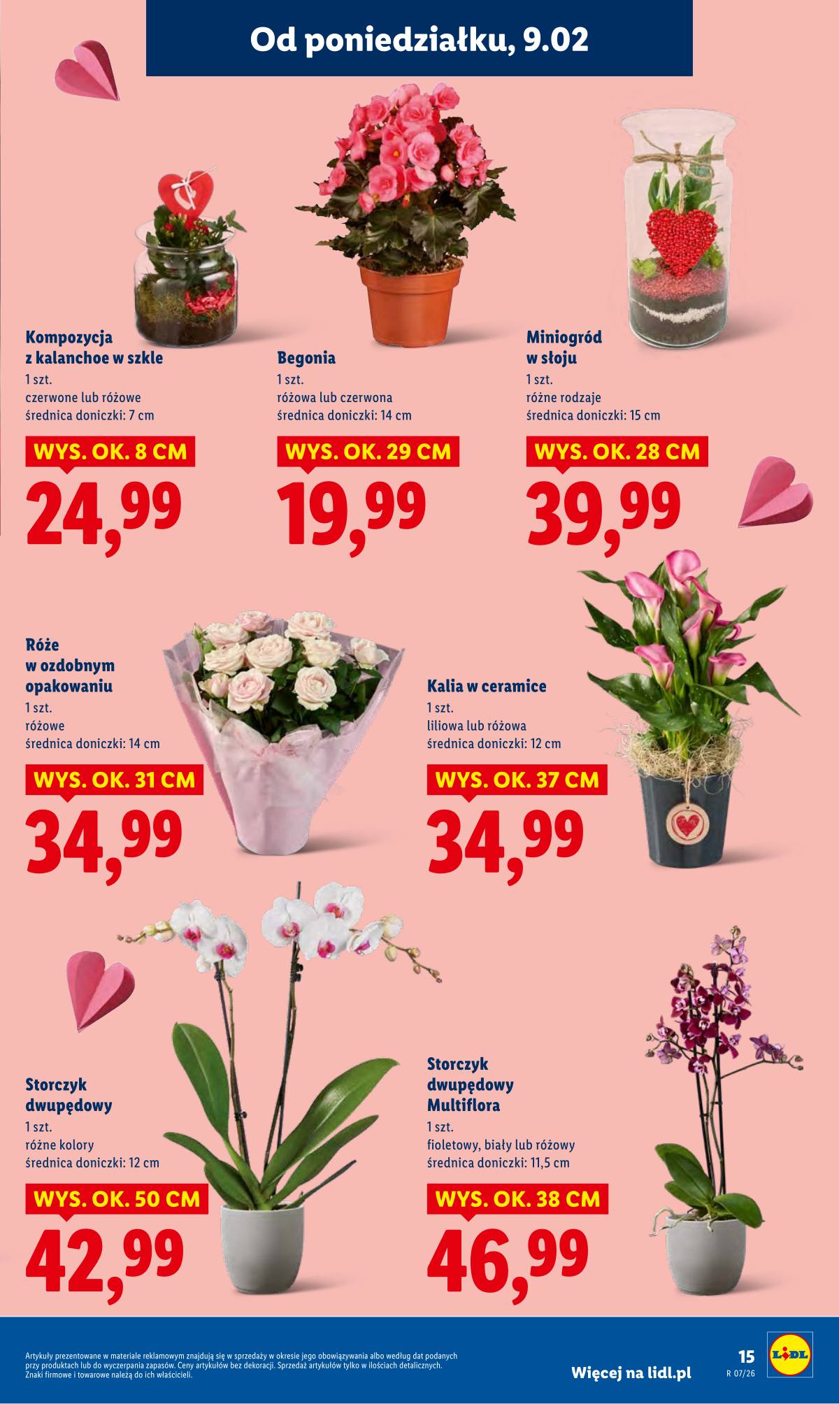 Lidl Lenkija - OFERTA WAŻNA OD 09.02 DO 11.02 15 puslapis