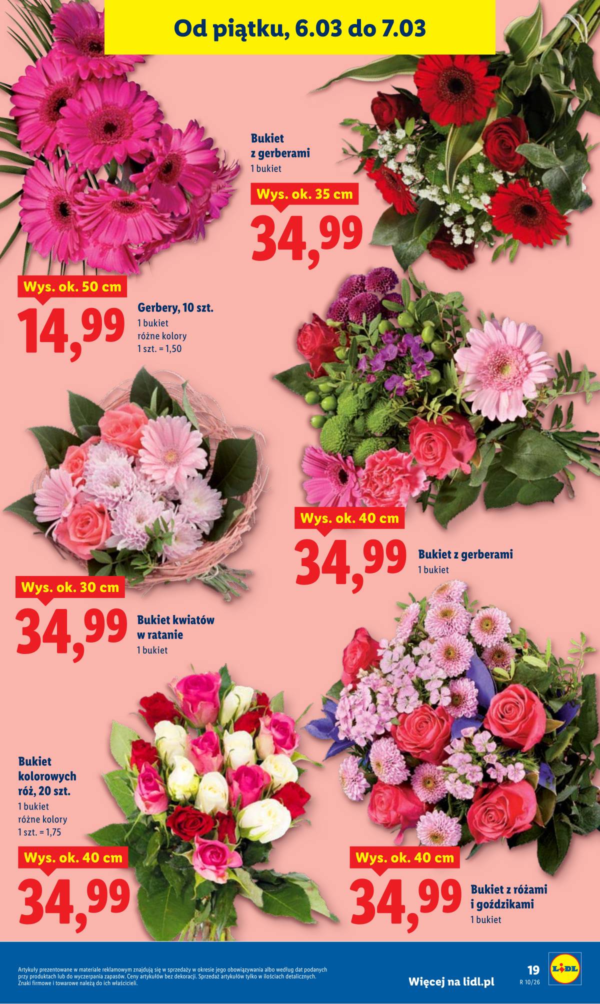 Lidl Lenkija - OFERTA WAŻNA OD 5.03 DO 7.03 19 puslapis