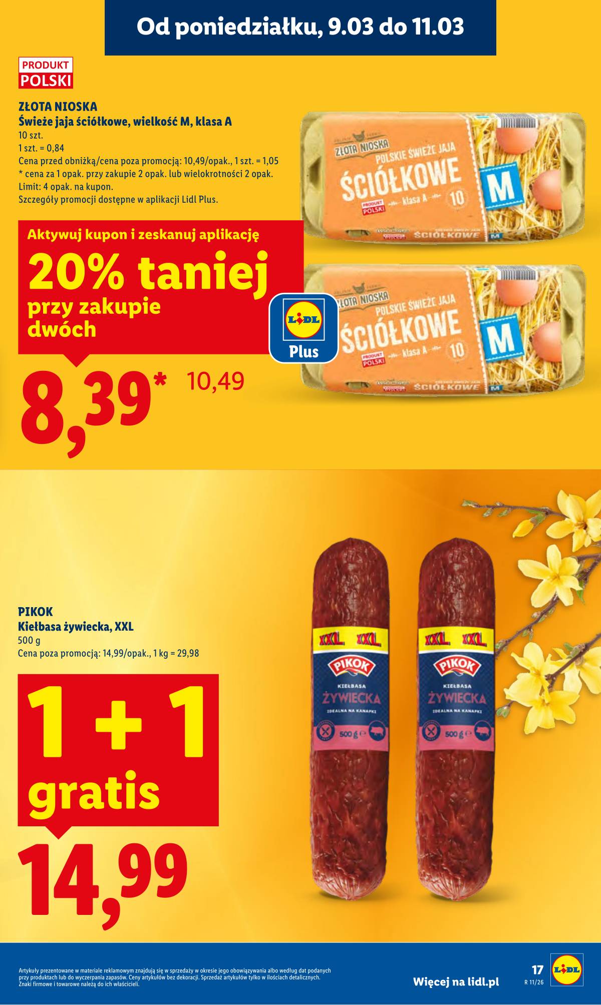 Lidl Lenkija - Oferta ważna od 9.03 do 11.03 17 puslapis