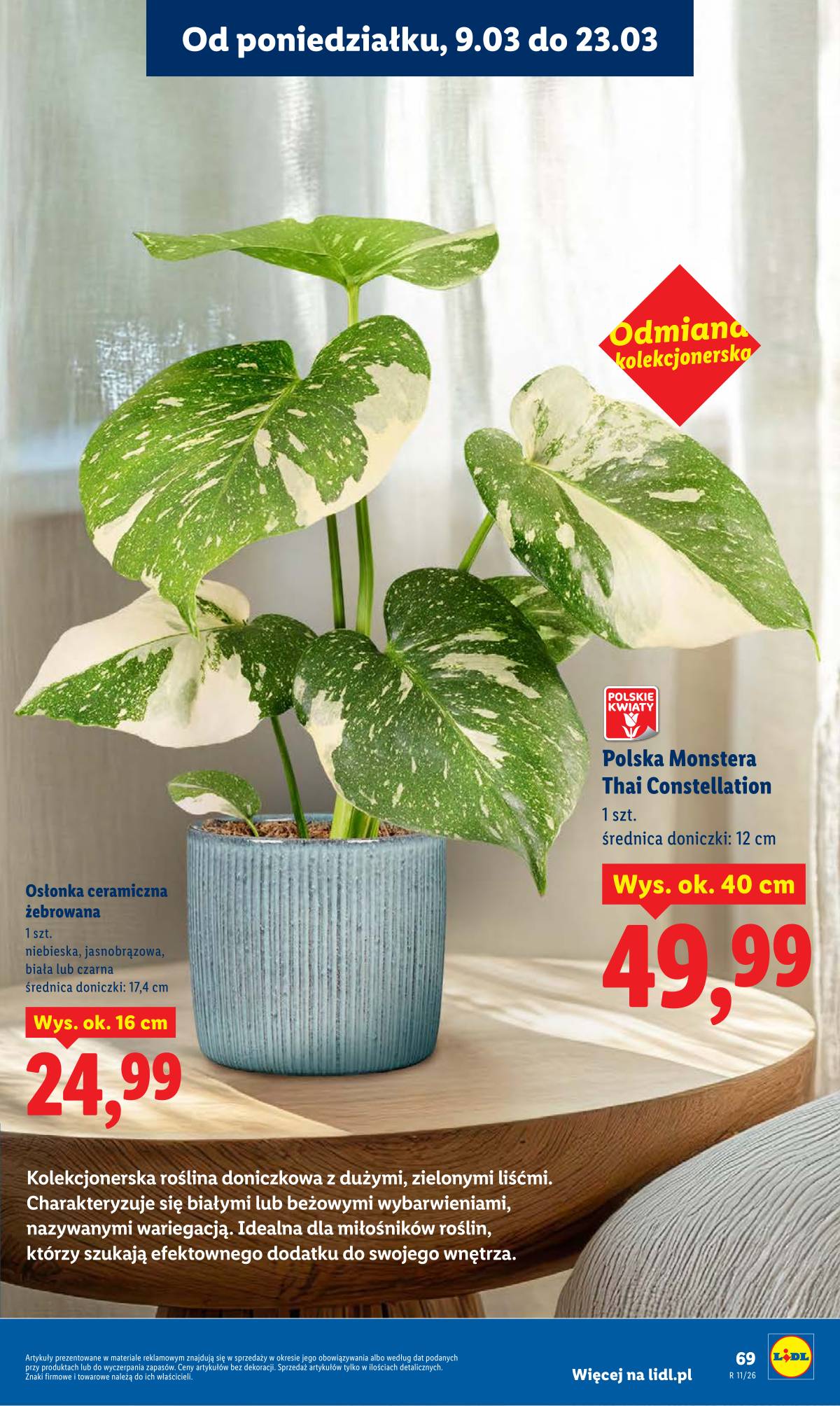 Lidl Lenkija - Oferta ważna od 9.03 do 11.03 69 puslapis