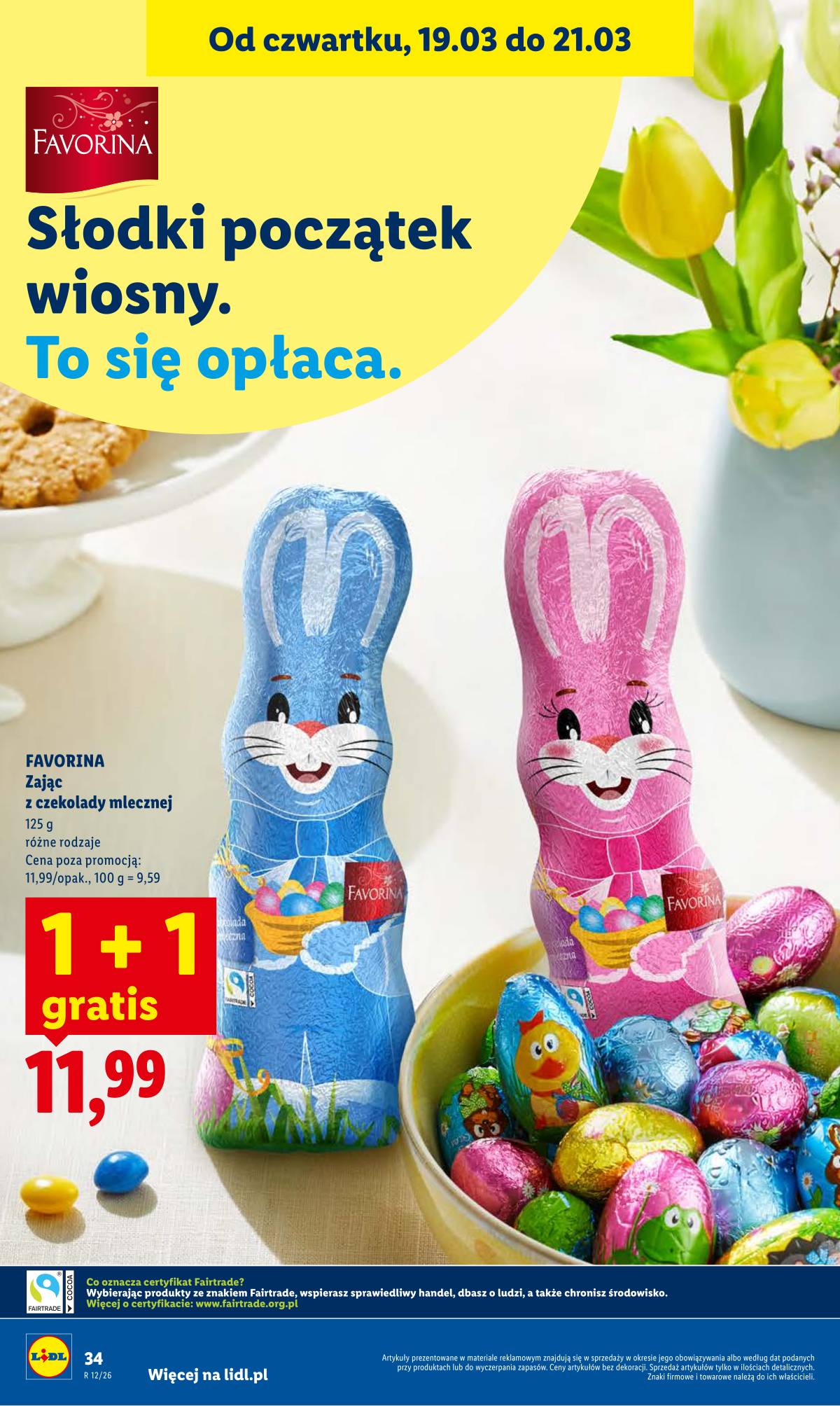 Lidl Lenkija - OFERTA WAŻNA OD 19.03 DO 21.03 34 puslapis