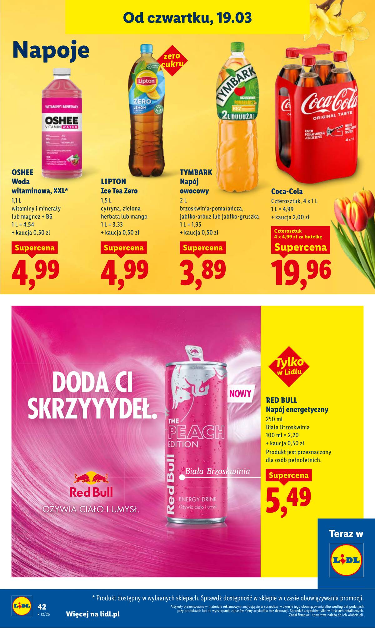 Lidl Lenkija - OFERTA WAŻNA OD 19.03 DO 21.03 42 puslapis