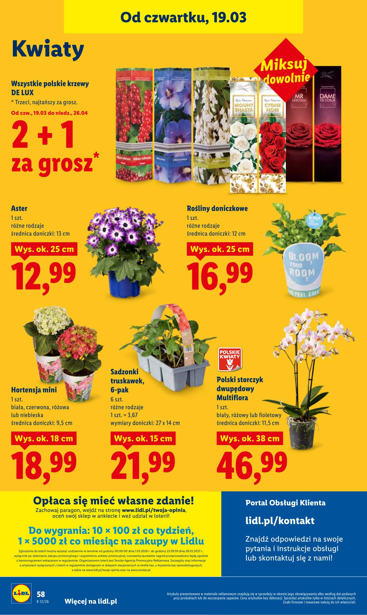 Lidl Lenkija - OFERTA WAŻNA OD 19.03 DO 21.03 58 puslapis
