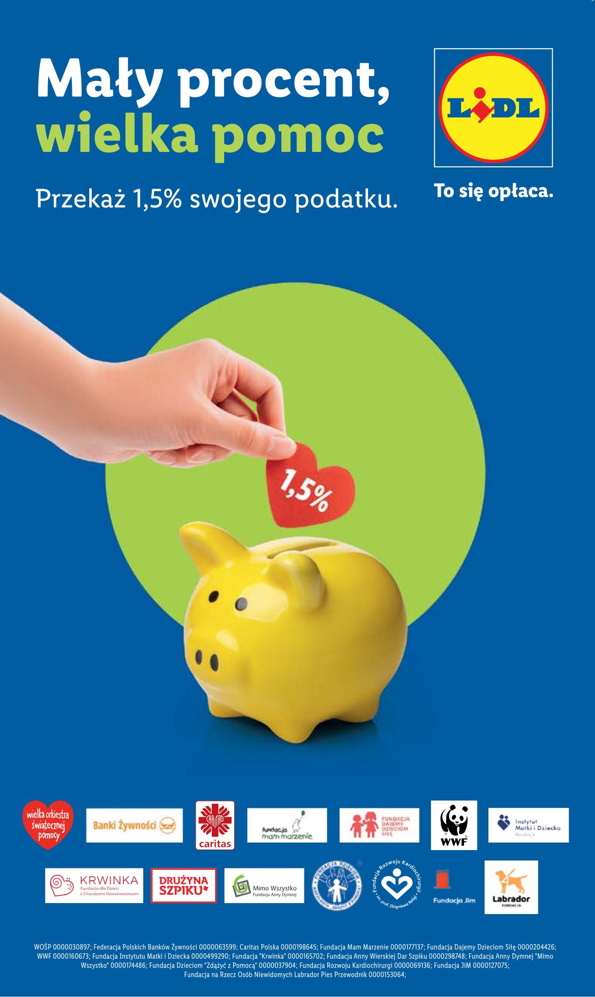 Lidl Lenkija - OFERTA WAŻNA OD 19.03 DO 21.03 61 puslapis