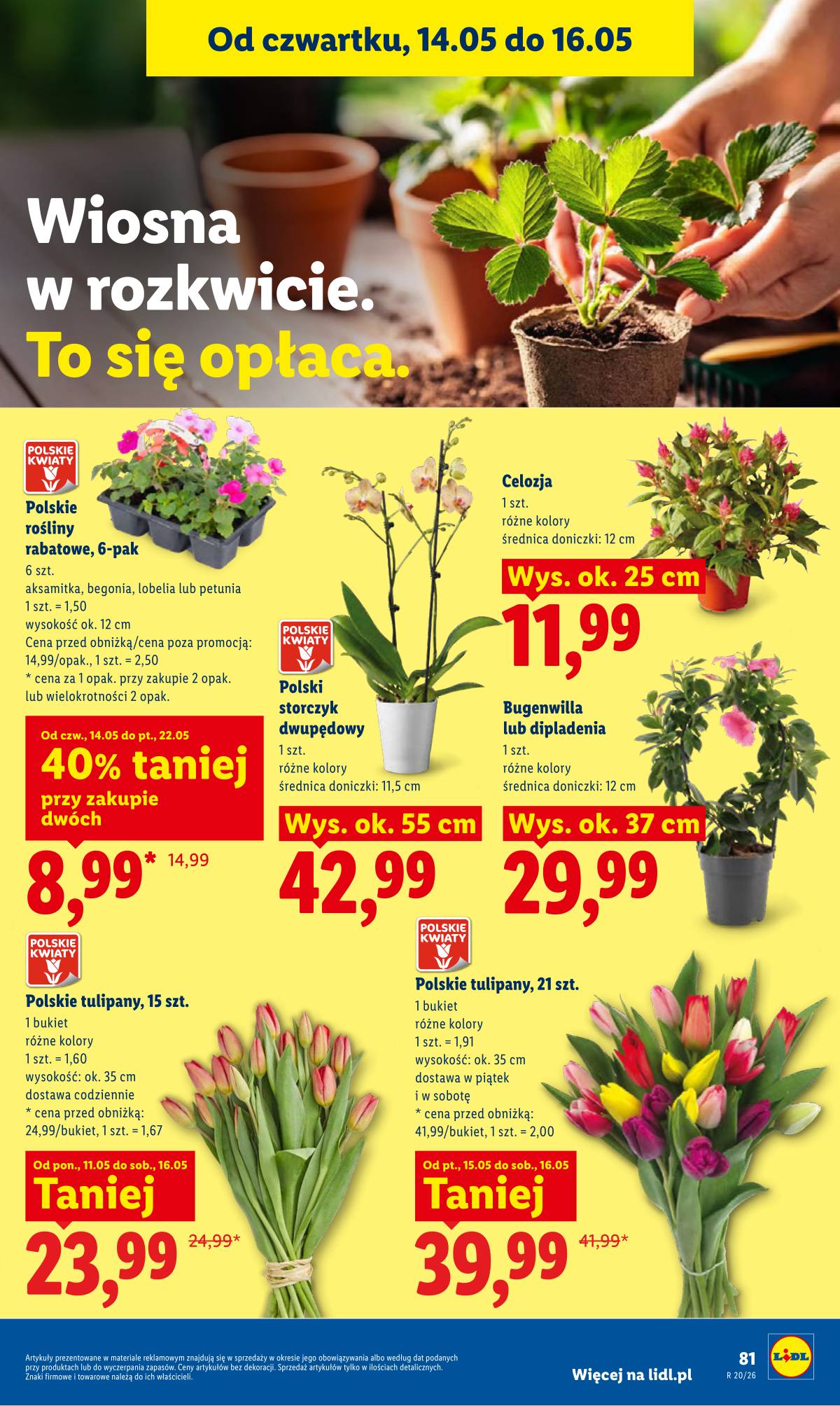 Lidl Lenkija - Gazetka ważna od 14.05 do 16.05 89 puslapis