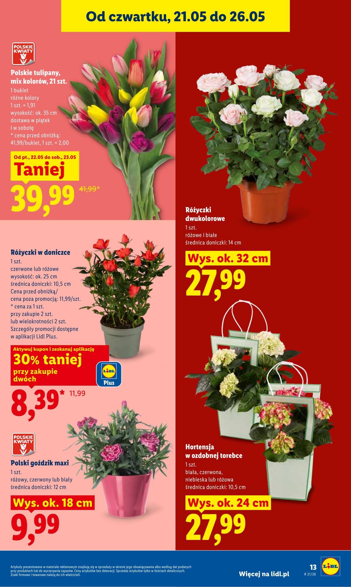Lidl Lenkija - Gazetka ważna od 21.05 do 23.05 13 puslapis
