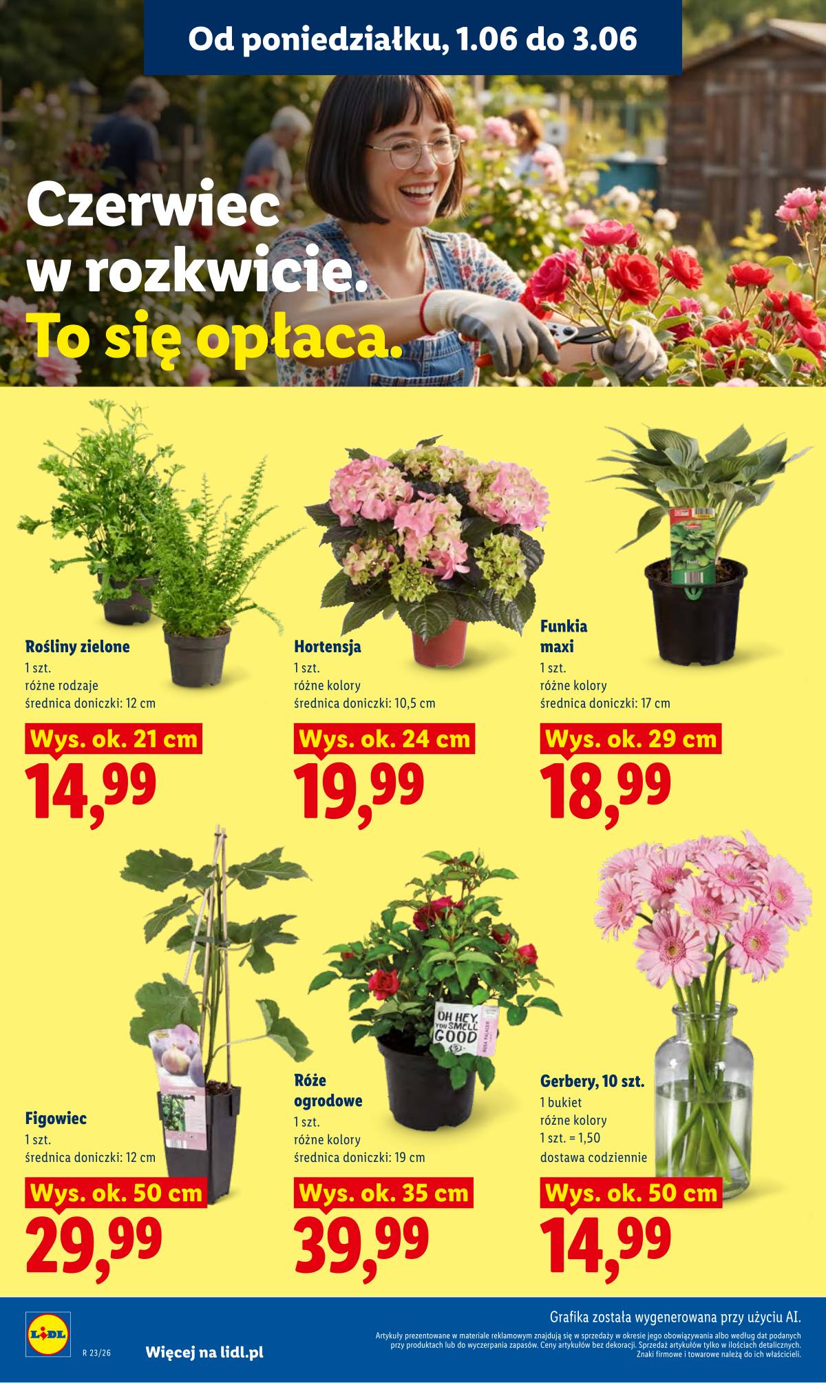 Lidl Lenkija - Gazetka ważna od 1.06 do 3.06 106 puslapis