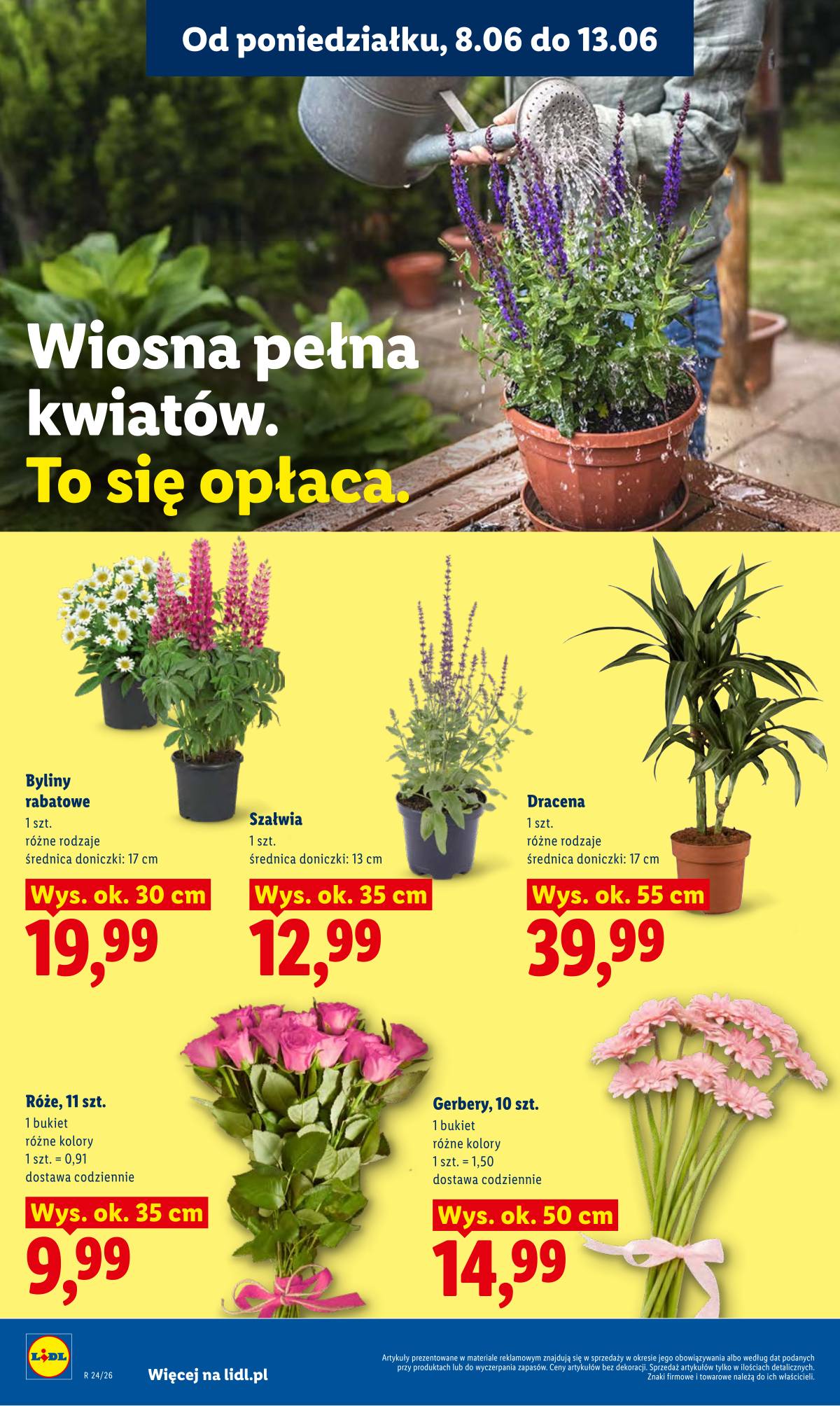 Lidl Lenkija - Gazetka ważna od 8.06 do 10.06 82 puslapis